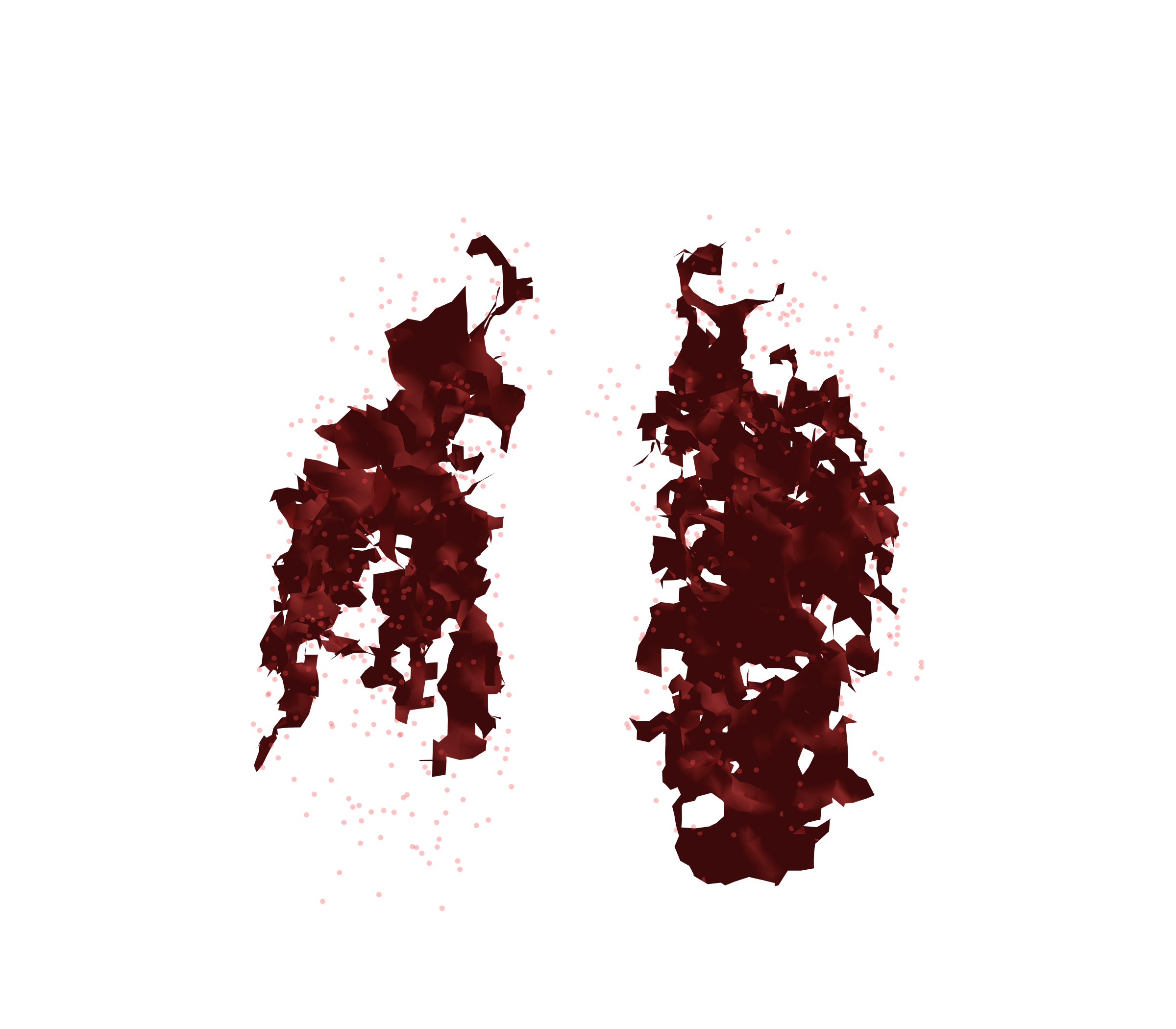 Combined Visualization (Expiration) - Front View