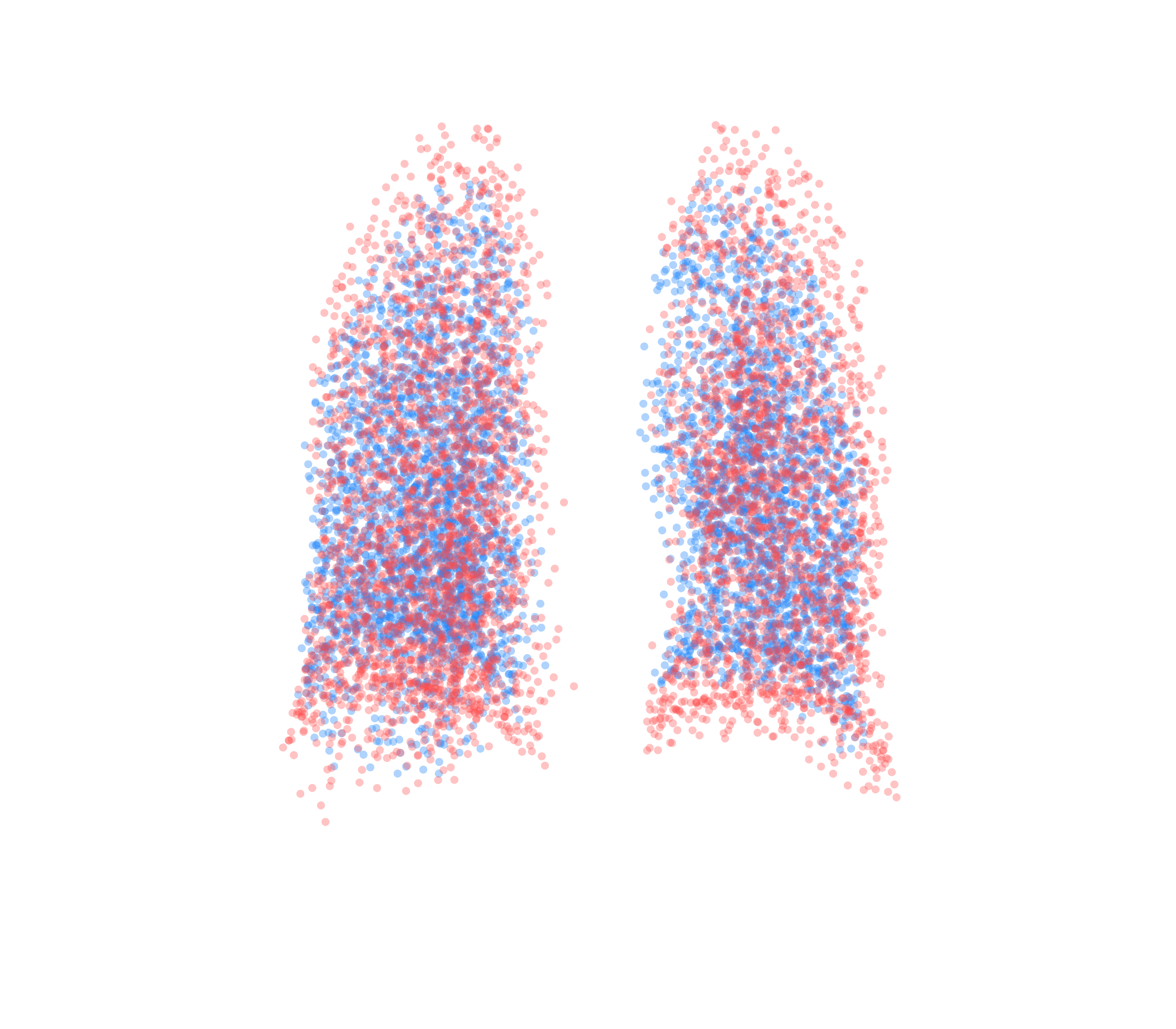 Point Cloud - Back View