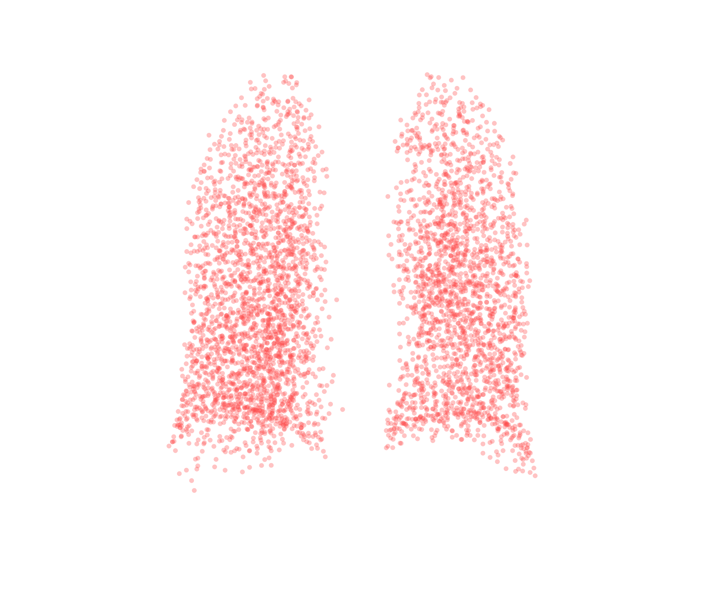 Point Cloud (Expiration) - Back View