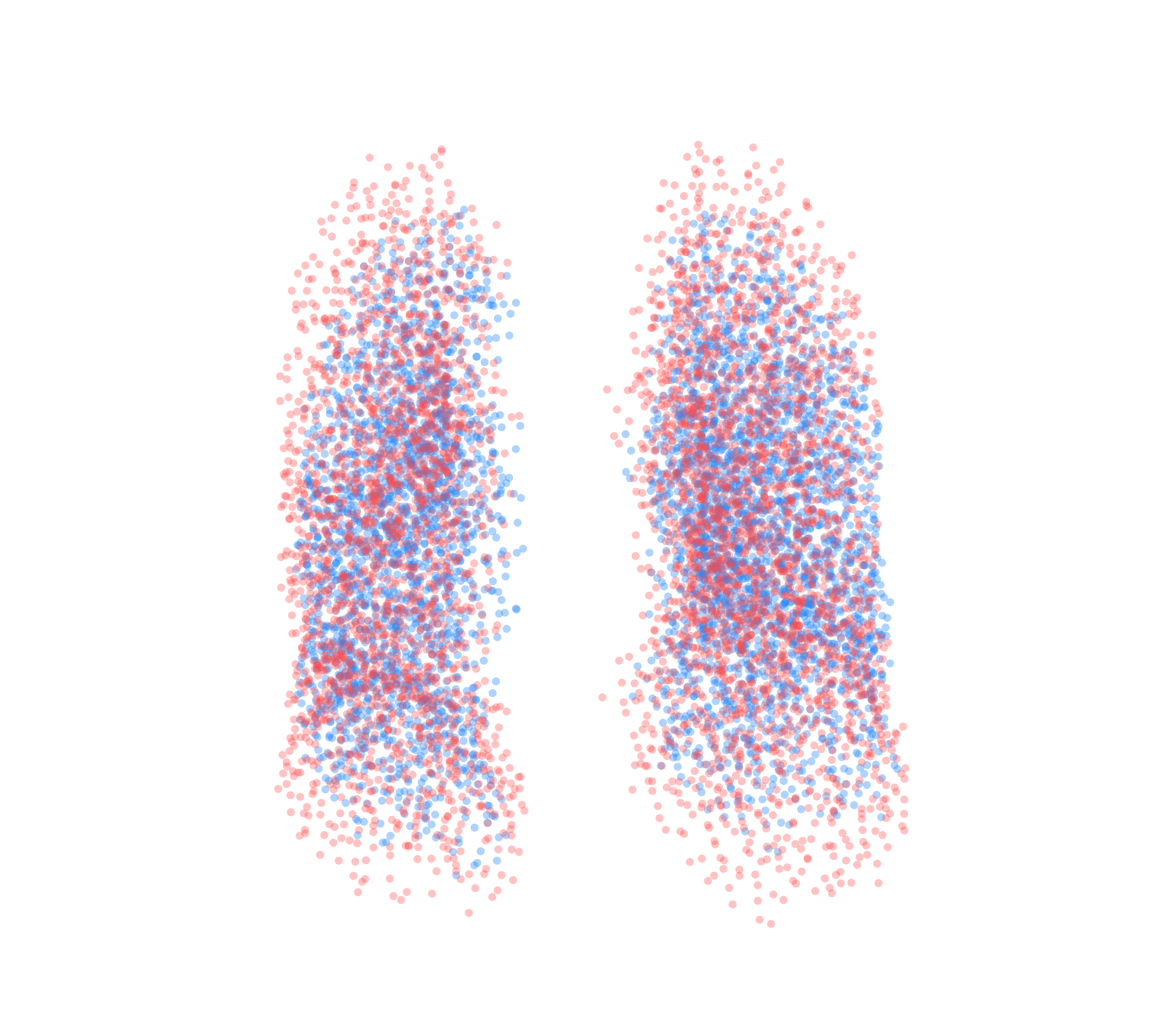 Point Cloud - Front View