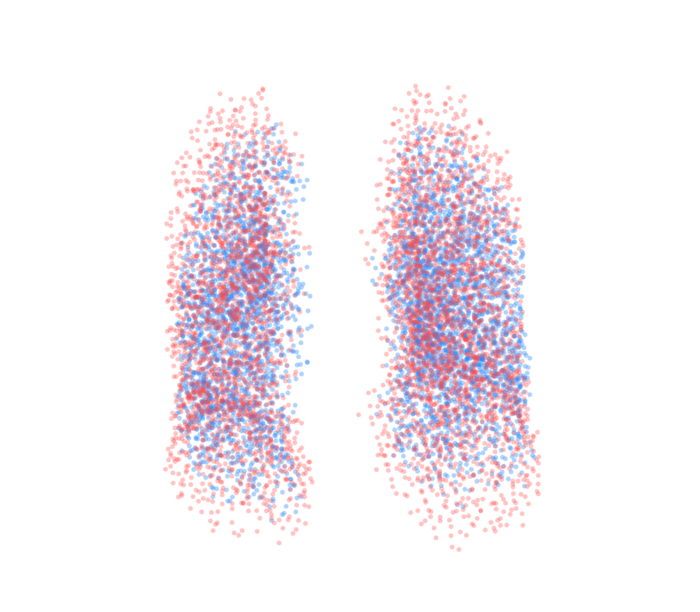 Point Cloud - Front View