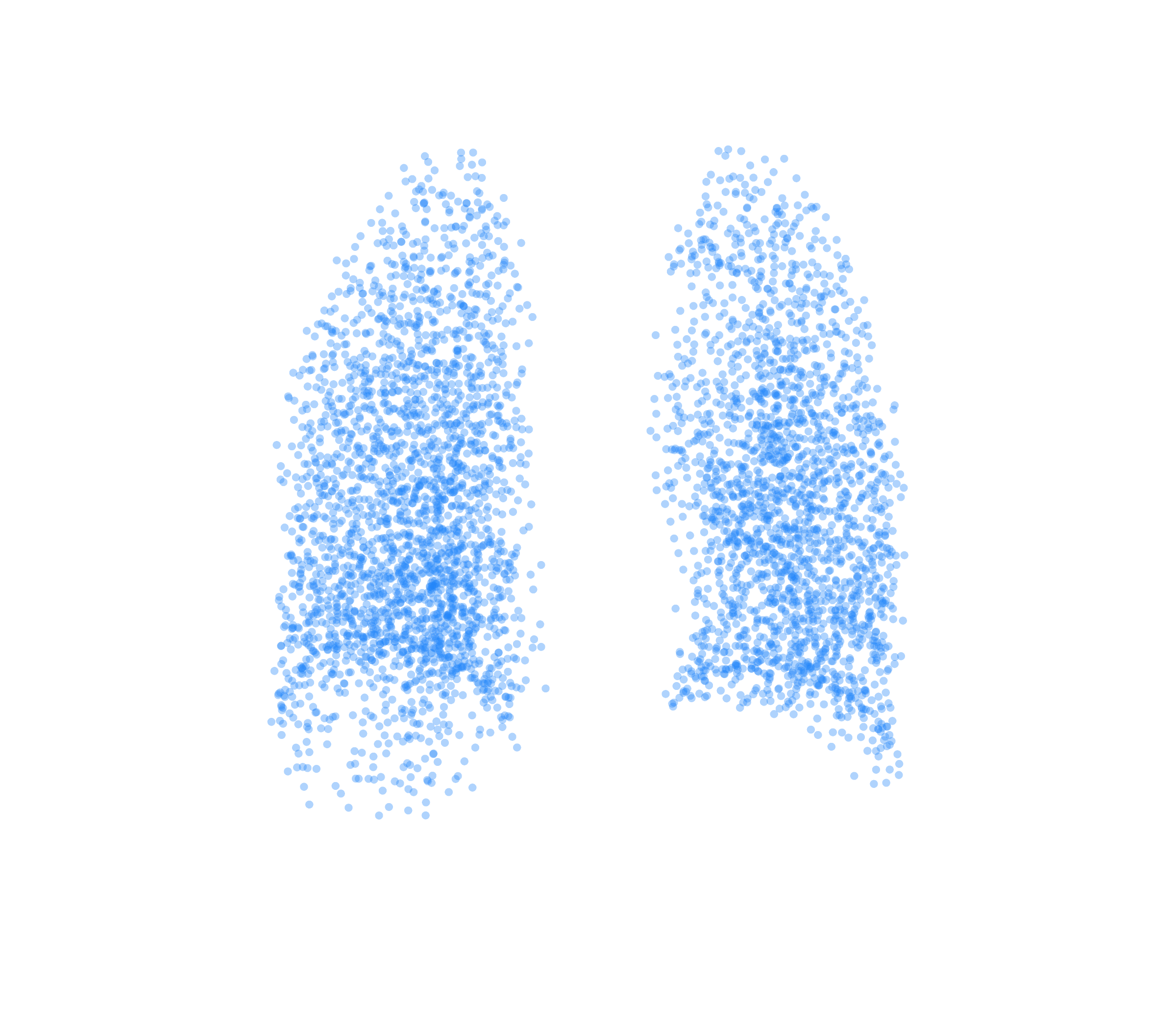 Point Cloud (Inspiration) - Back View