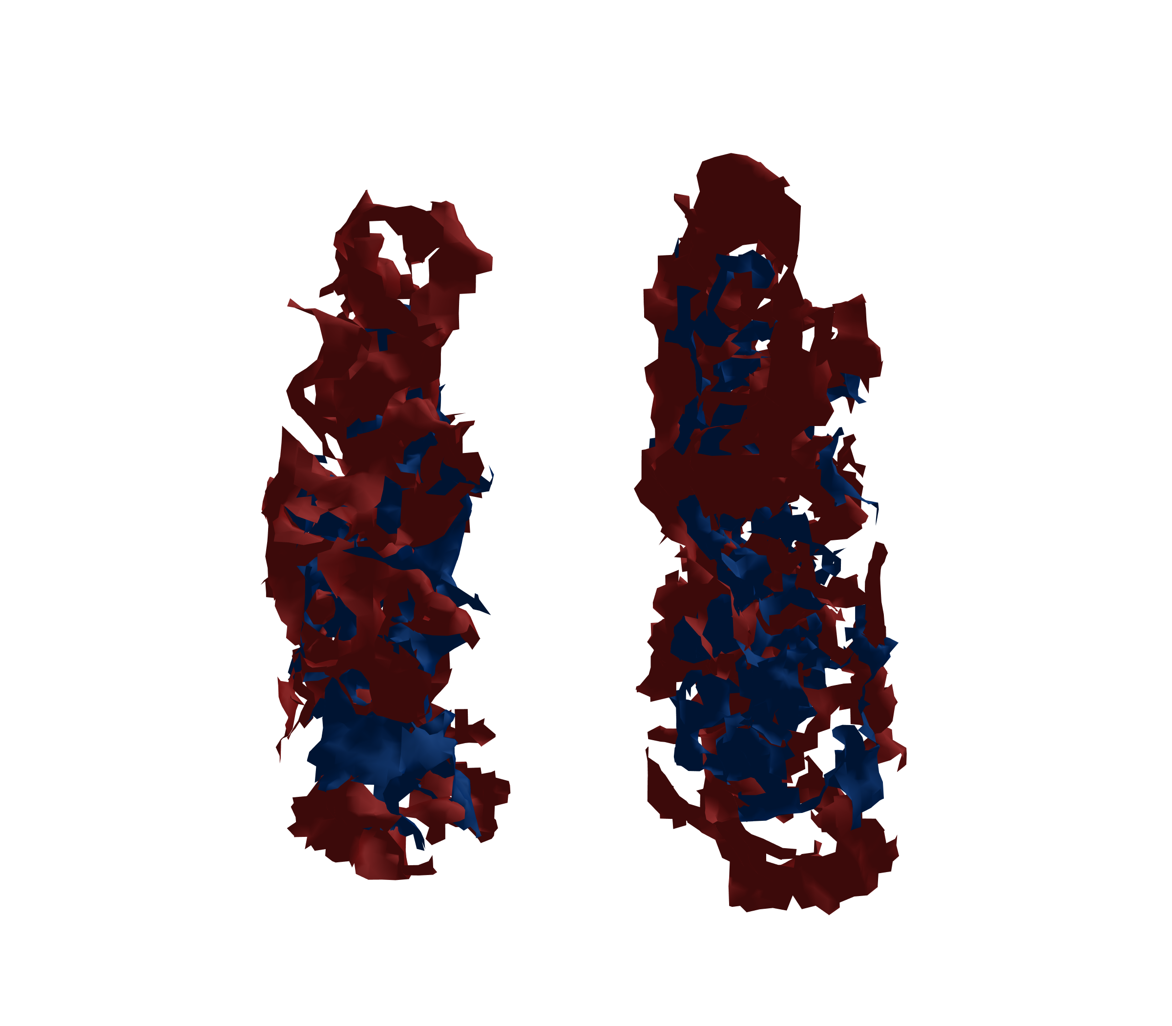 Surface Mesh - Front View