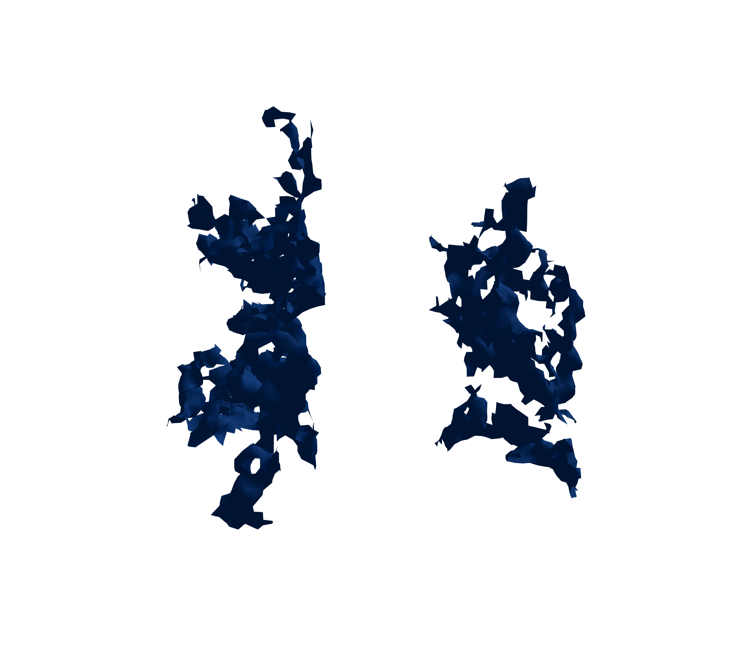 Surface Mesh (Inspiration) - Back View