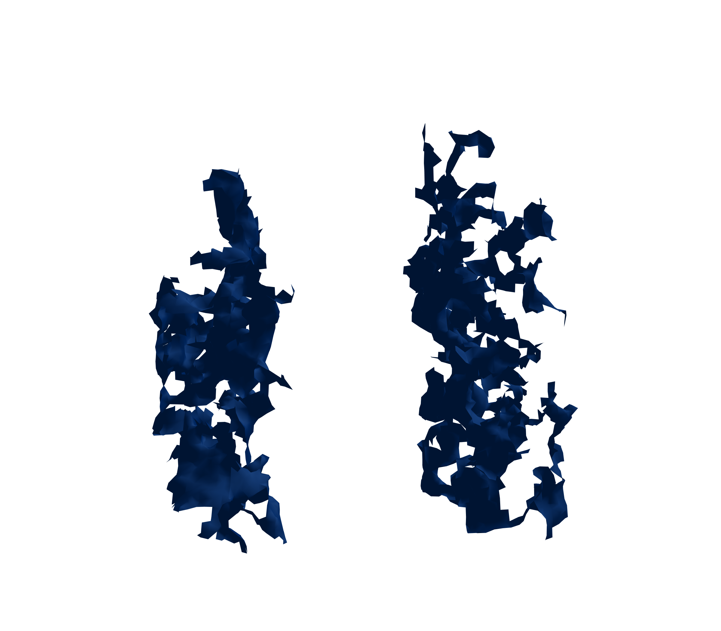 Surface Mesh (Inspiration) - Front View