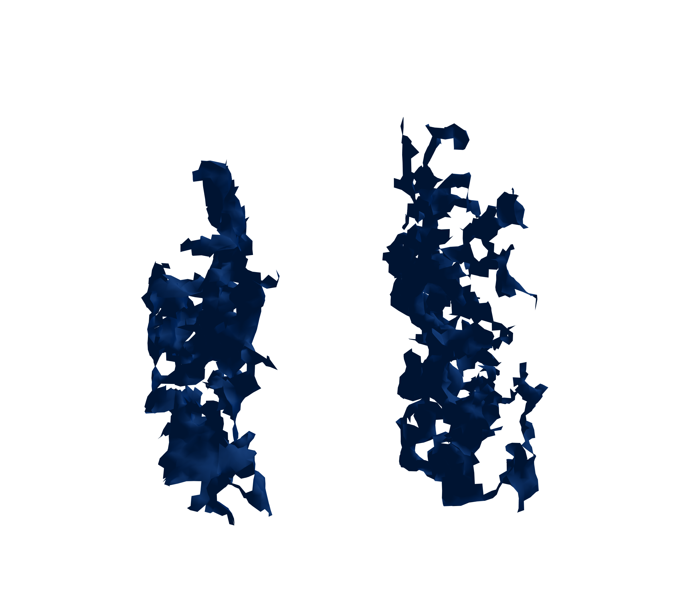 Surface Mesh (Inspiration) - Front View