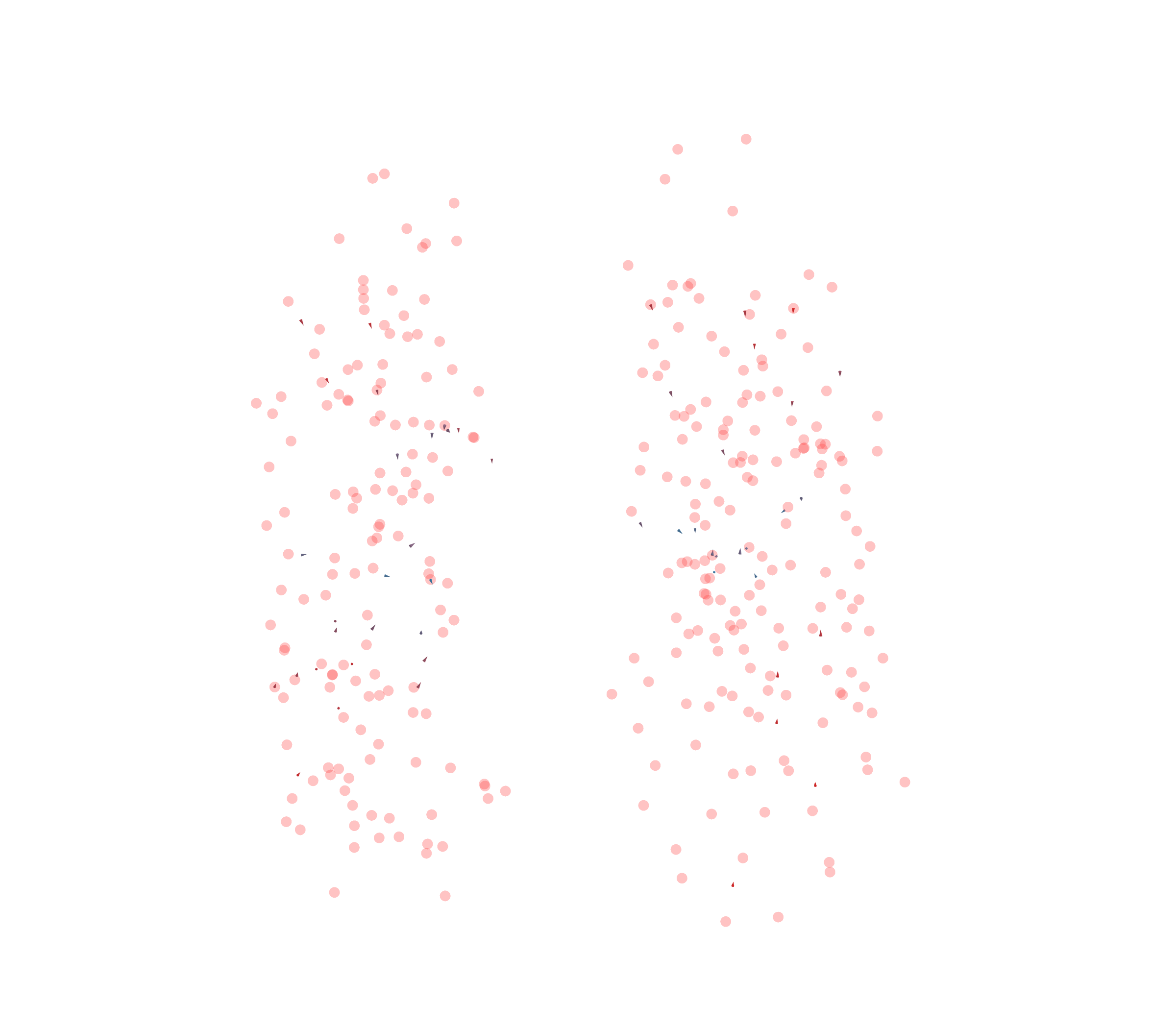 Displacement Vectors - Front View