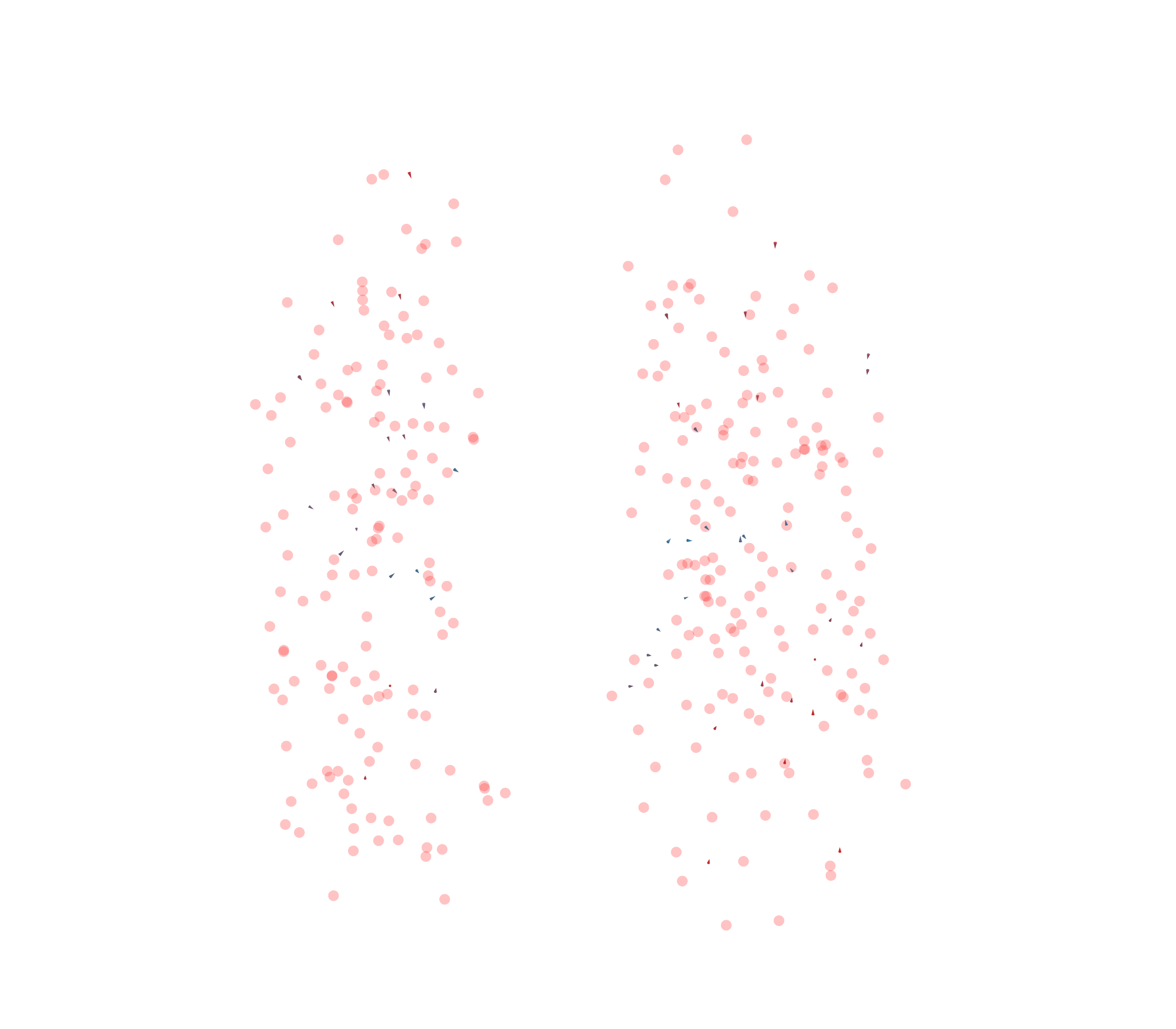 Displacement Vectors - Front View