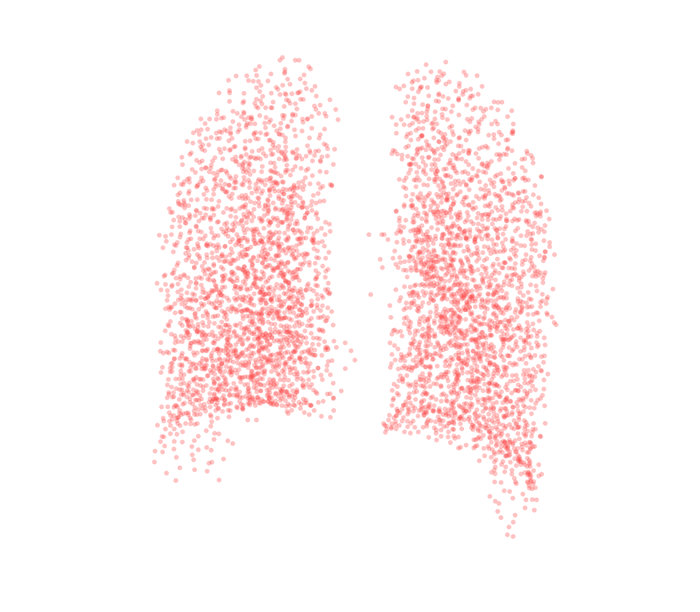 Point Cloud (Expiration) - Back View