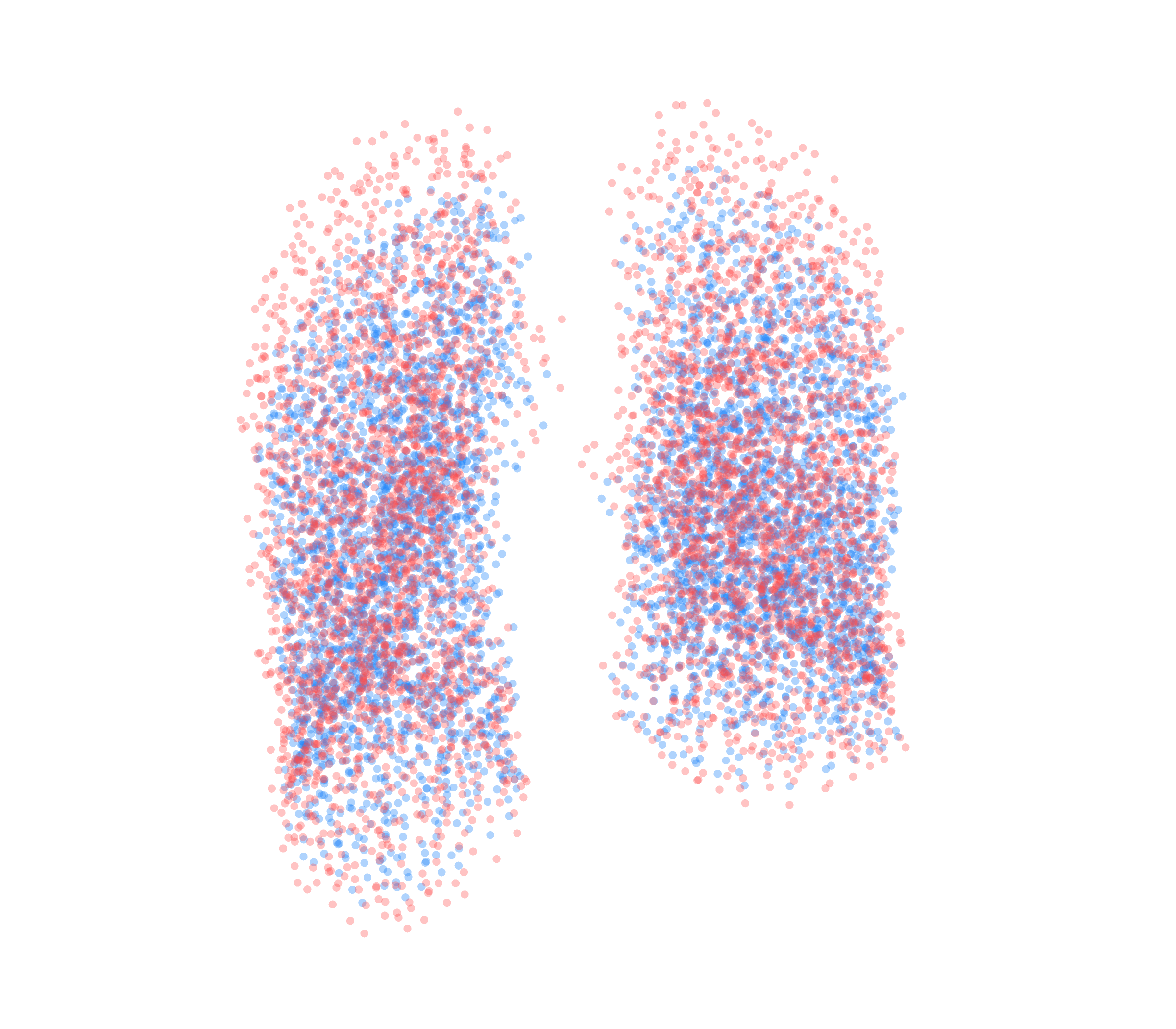 Point Cloud - Front View