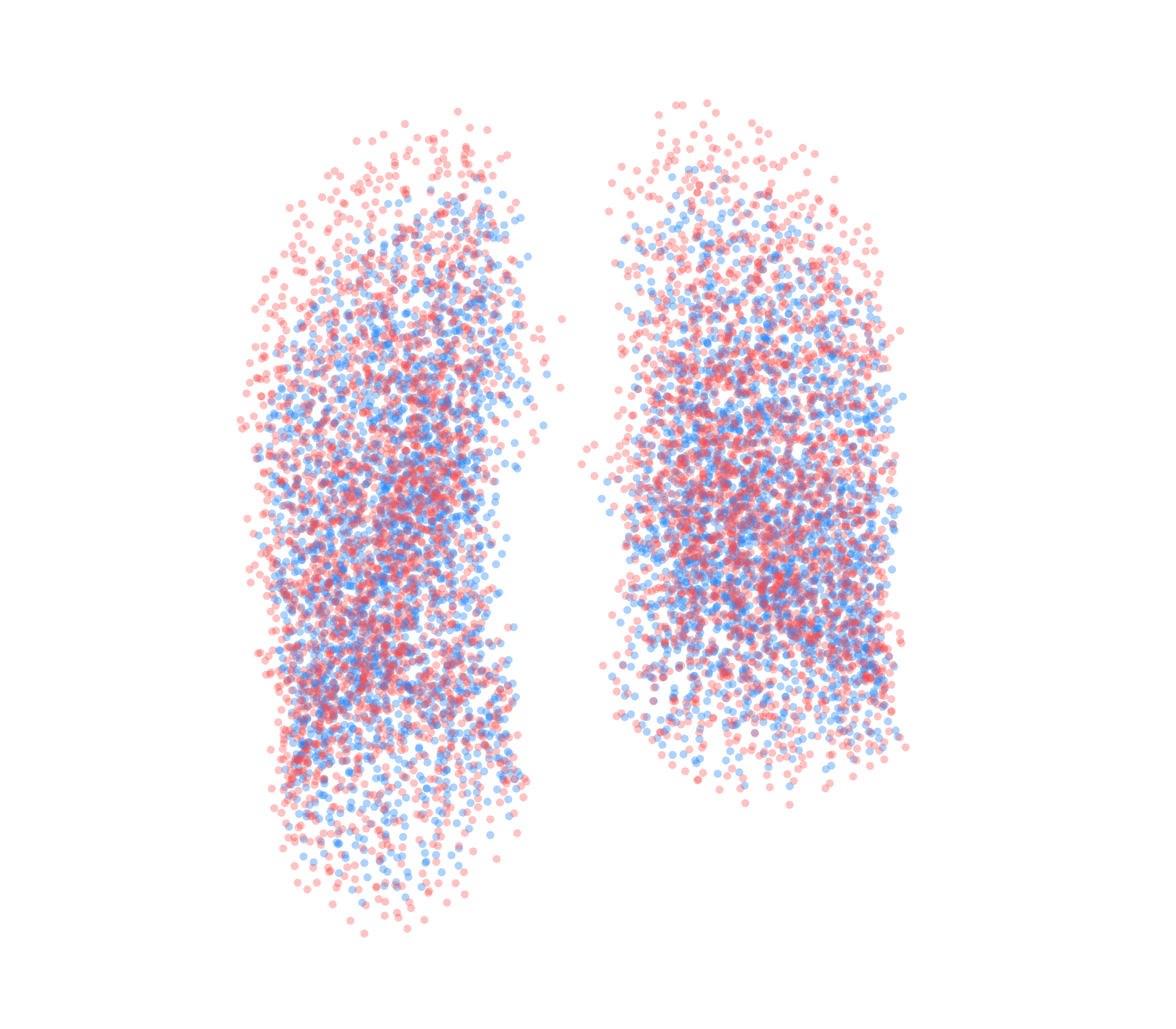 Point Cloud - Front View