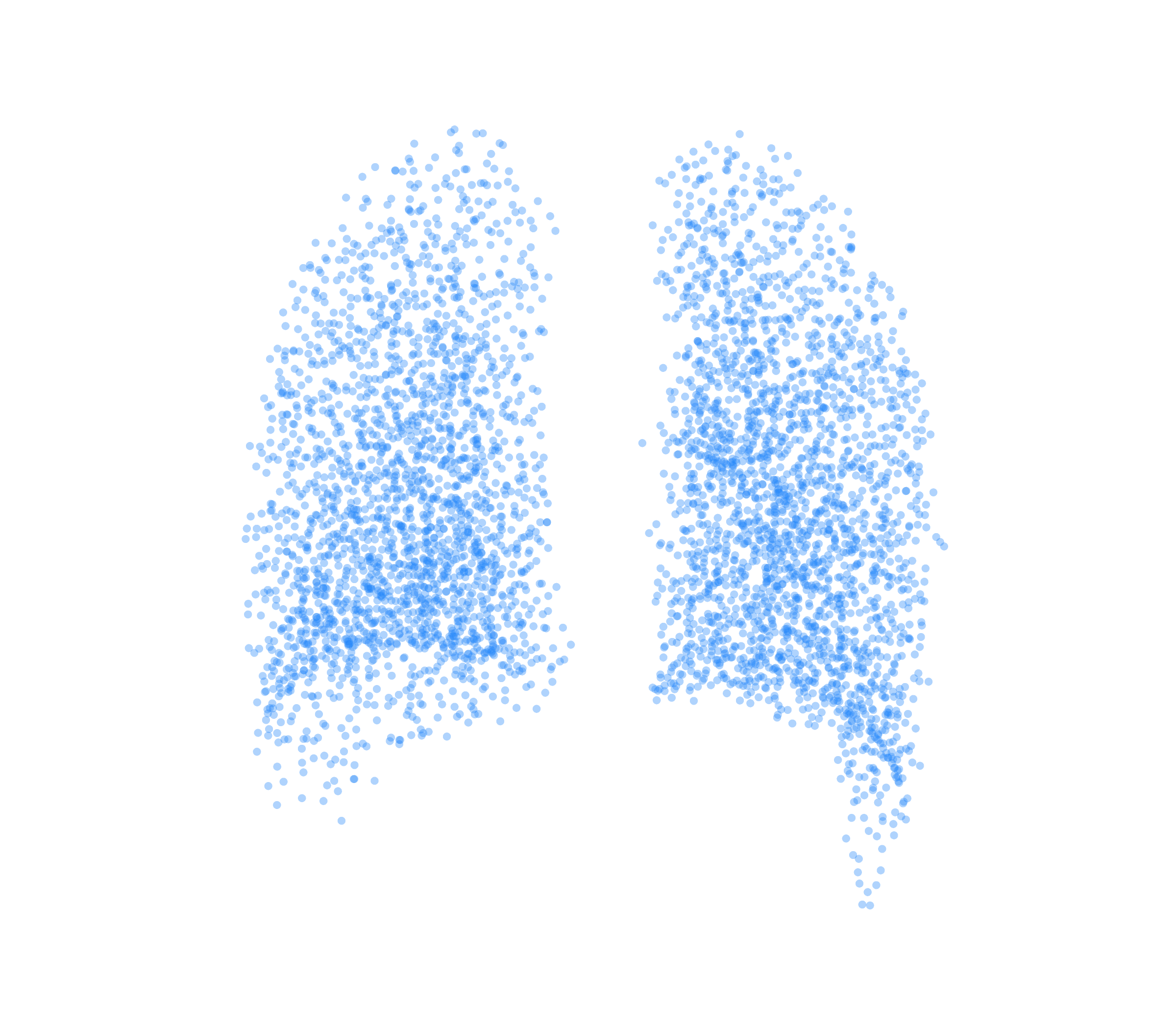 Point Cloud (Inspiration) - Back View