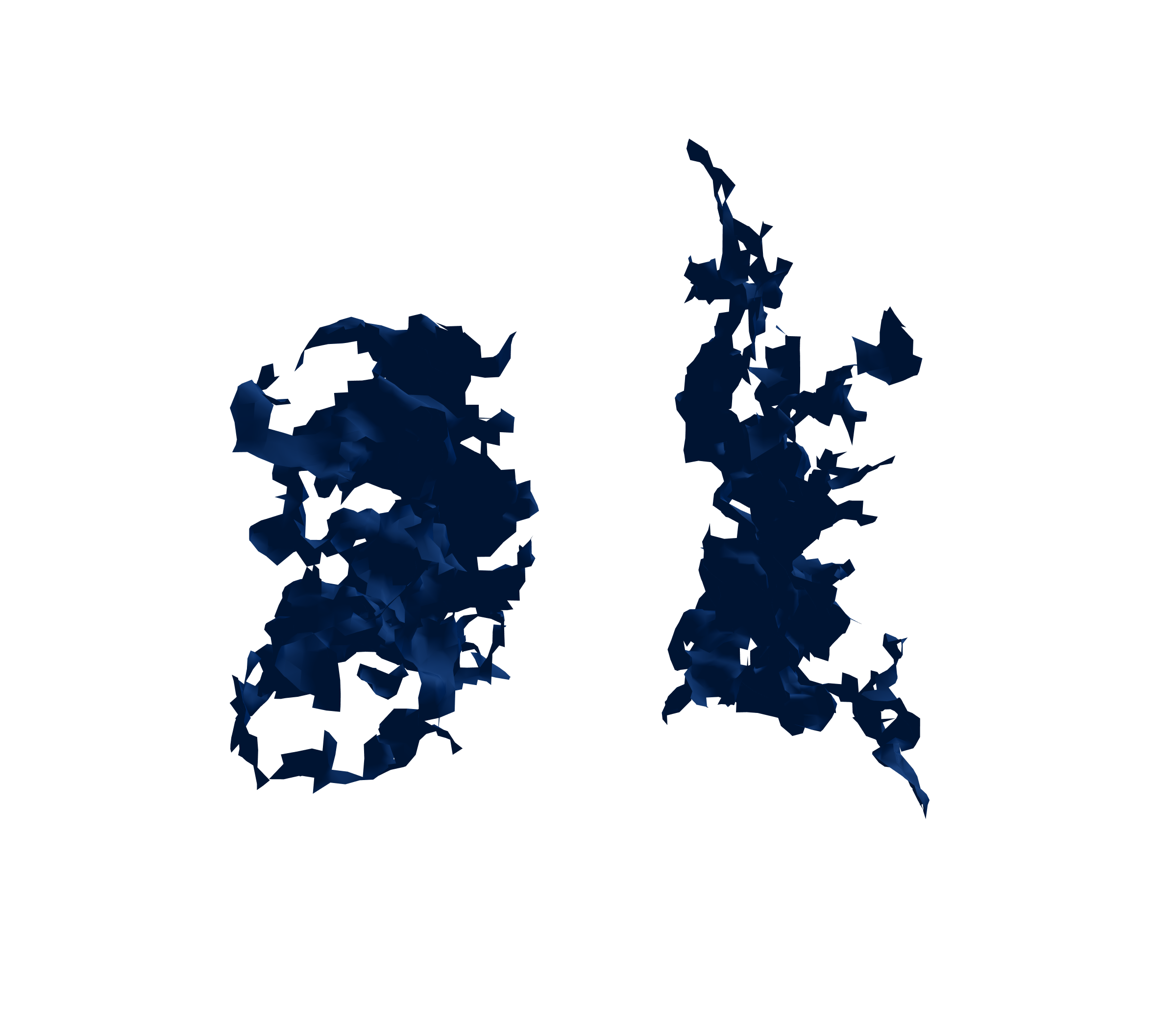 Surface Mesh (Inspiration) - Back View