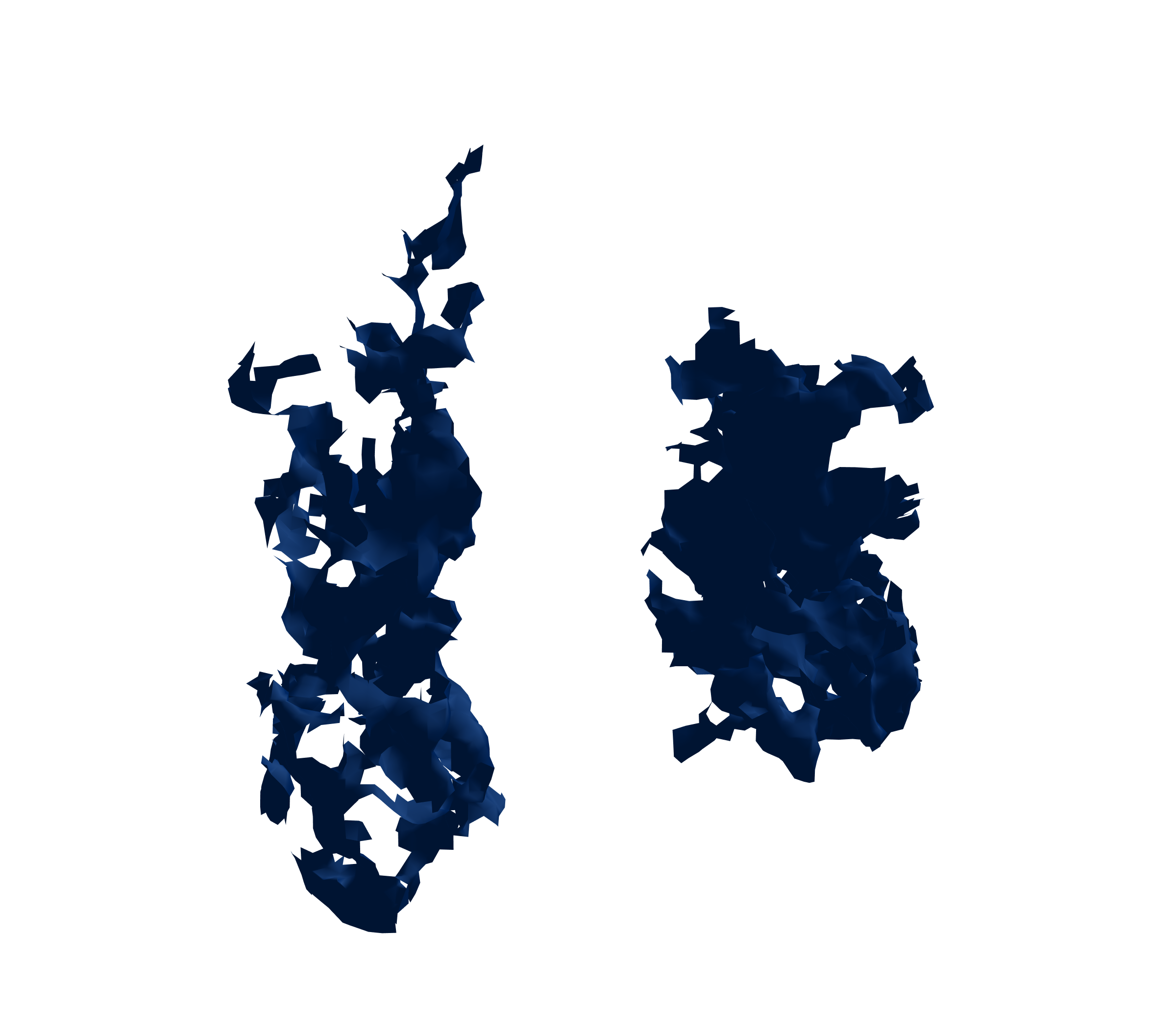 Surface Mesh (Inspiration) - Front View