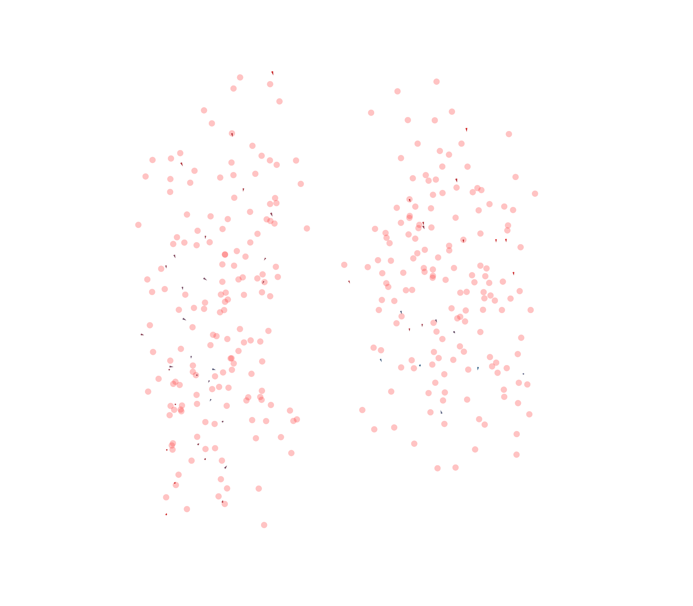 Displacement Vectors - Front View