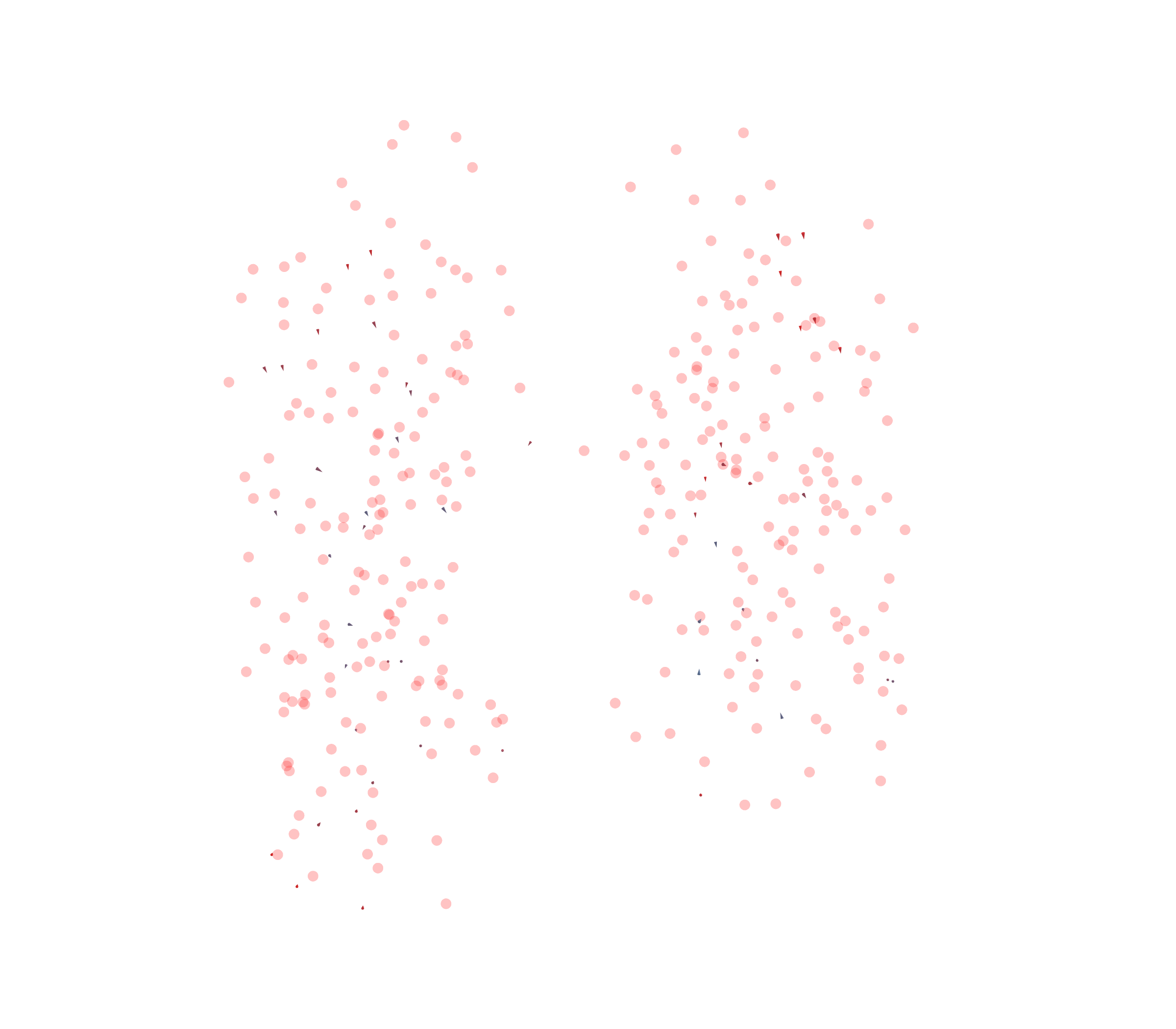 Displacement Vectors - Front View