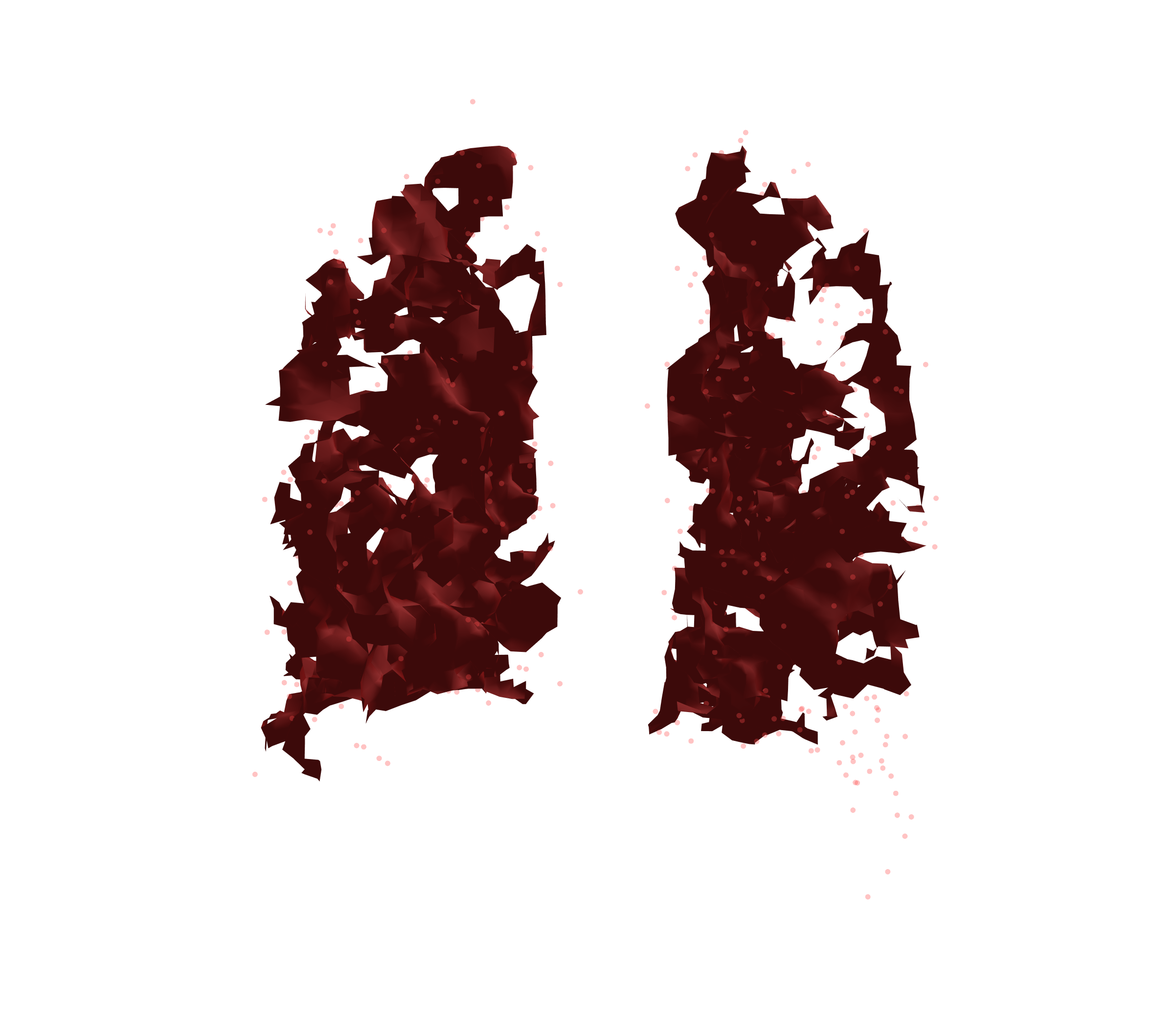 Combined Visualization (Expiration) - Back View