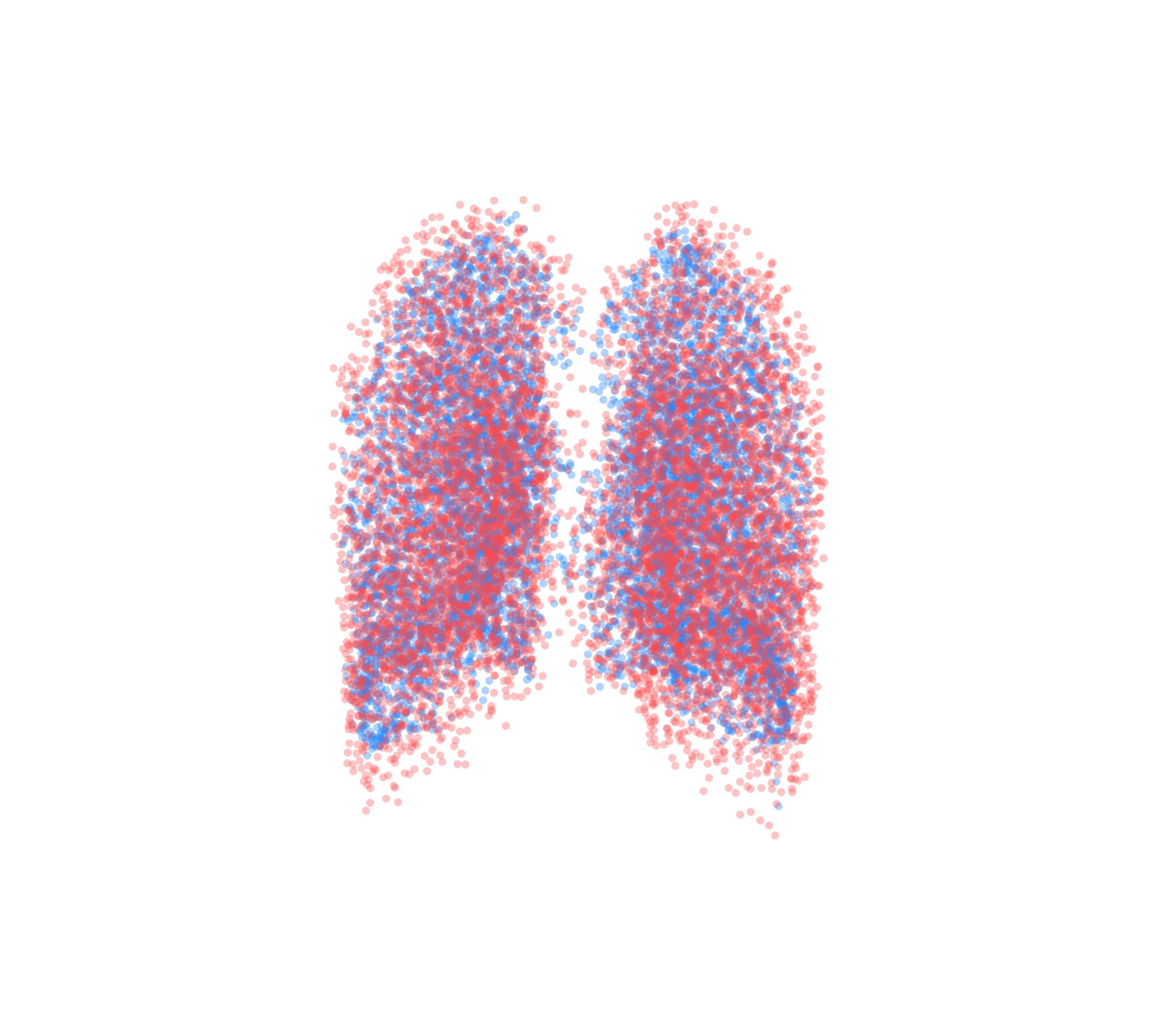 Point Cloud - Back View