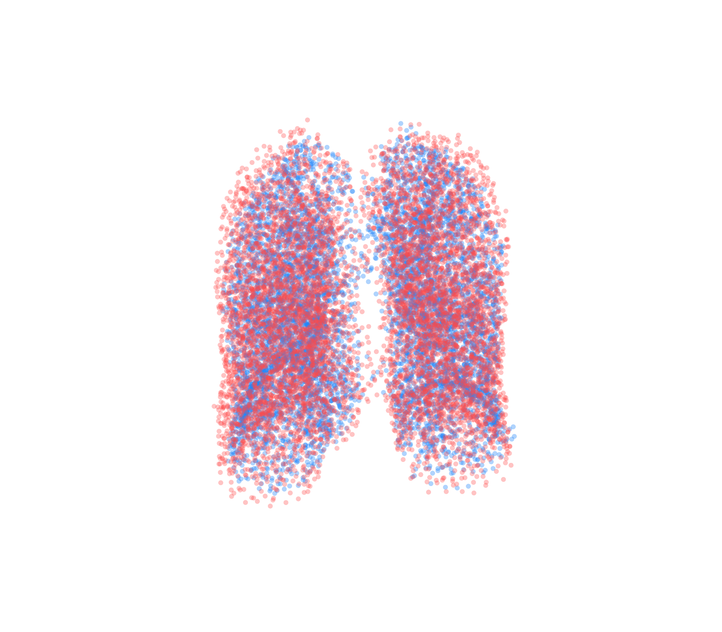 Point Cloud - Front View