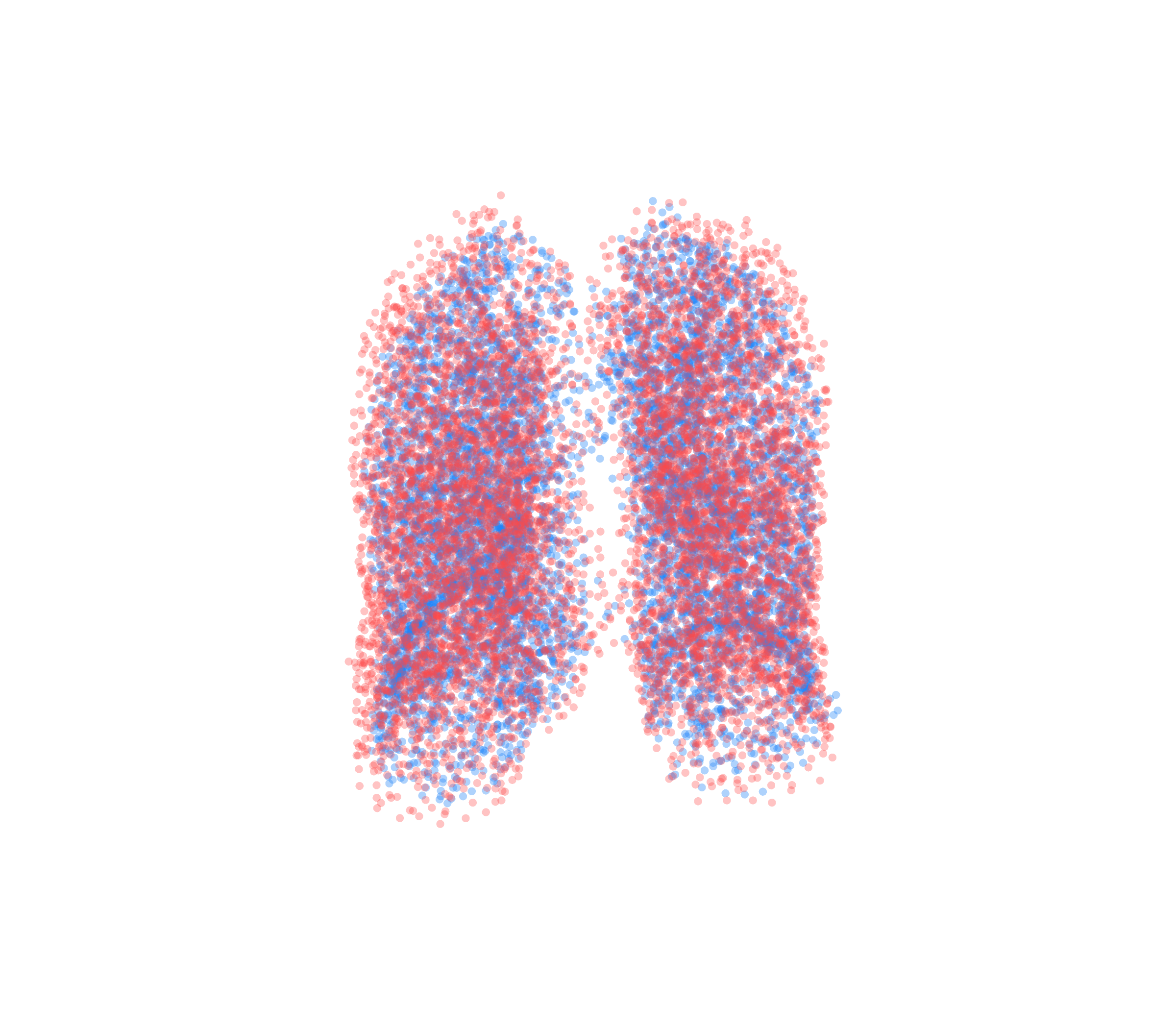 Point Cloud - Front View