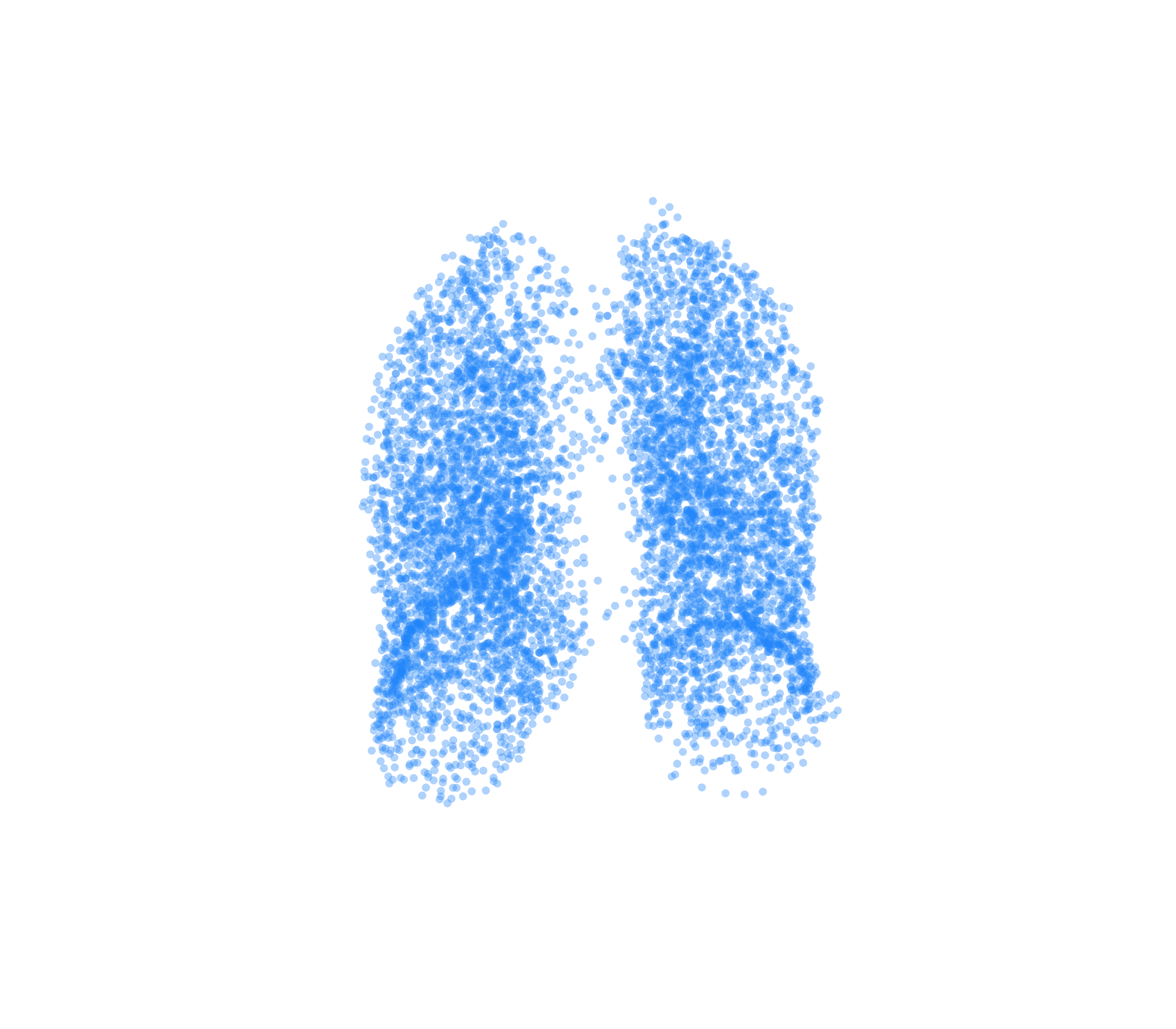 Point Cloud (Inspiration) - Front View
