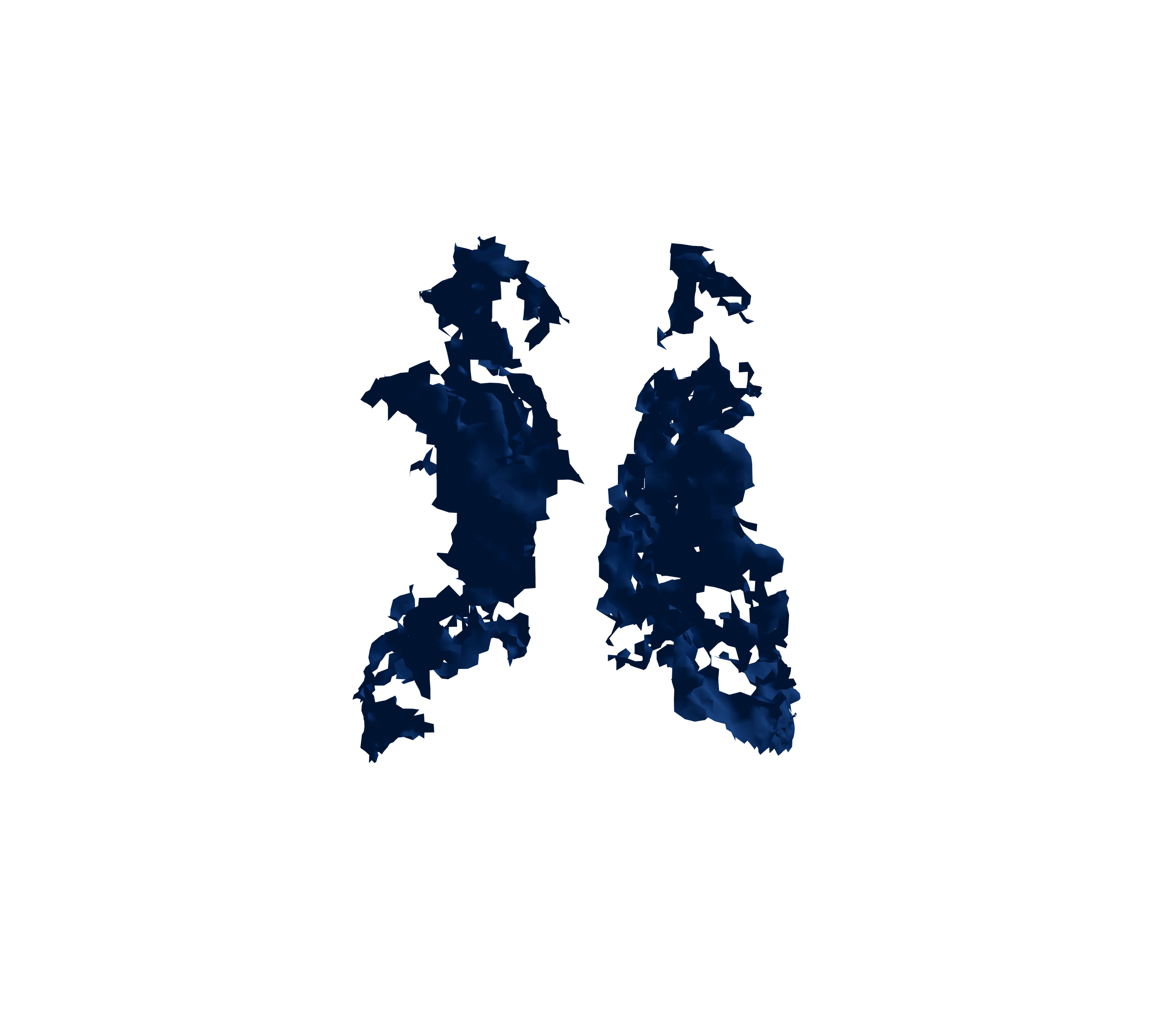 Surface Mesh (Inspiration) - Back View