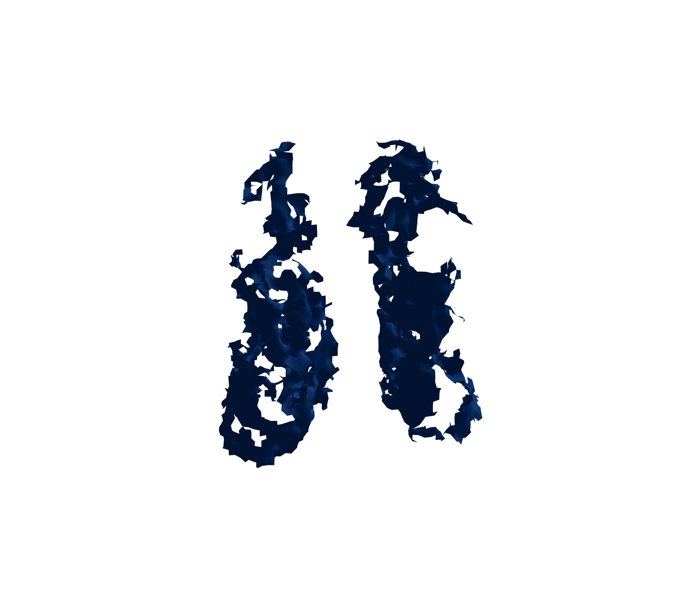 Surface Mesh (Inspiration) - Front View