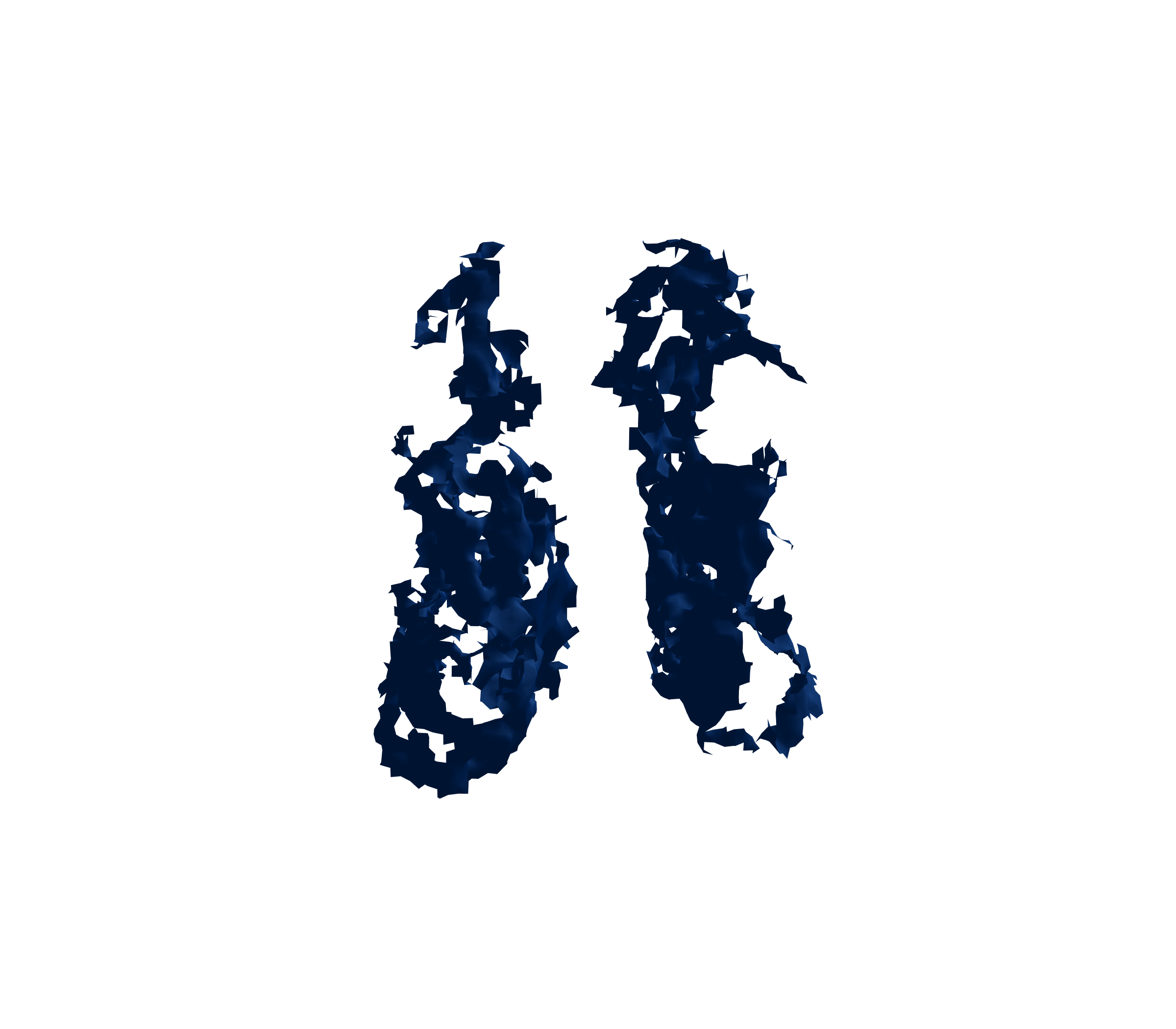 Surface Mesh (Inspiration) - Front View