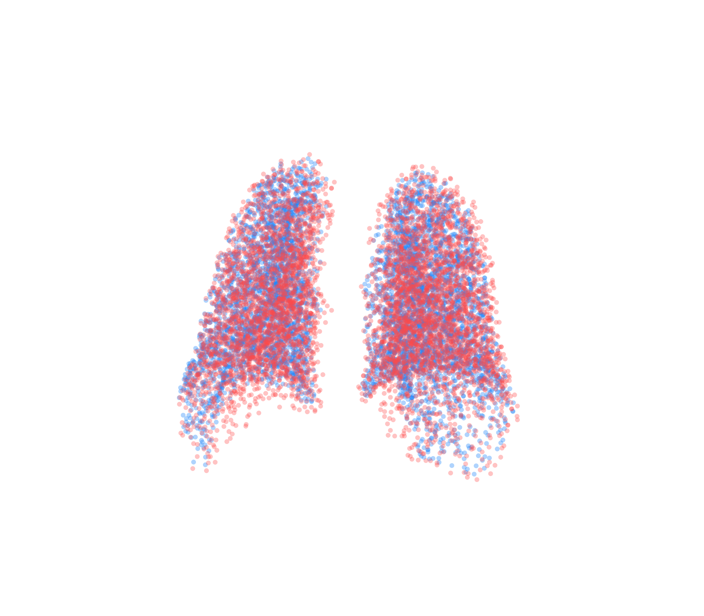 Point Cloud - Back View