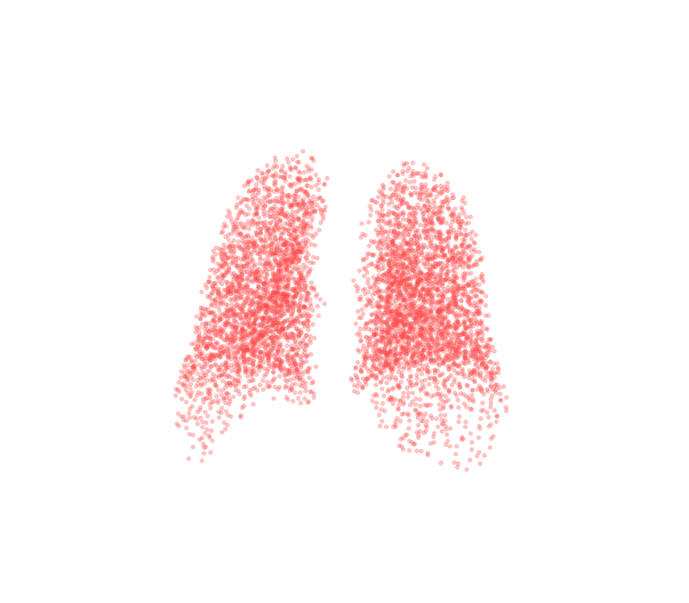 Point Cloud (Expiration) - Back View