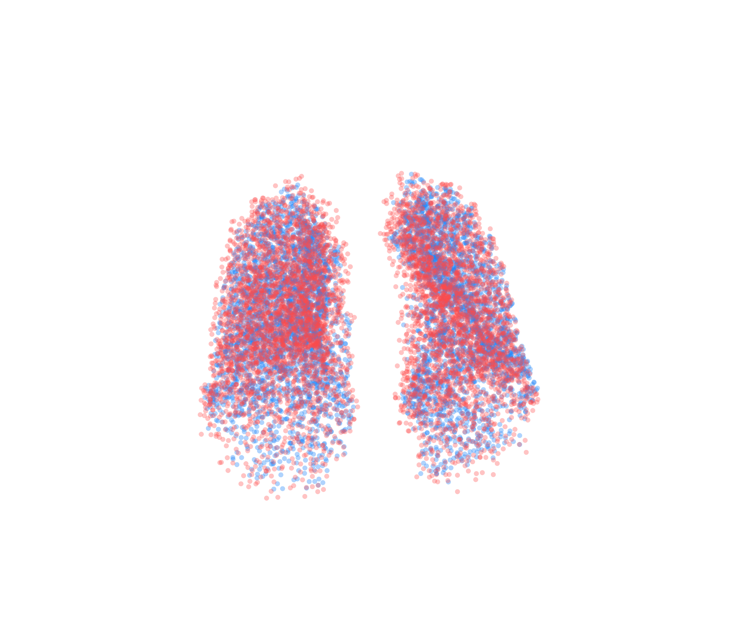 Point Cloud - Front View