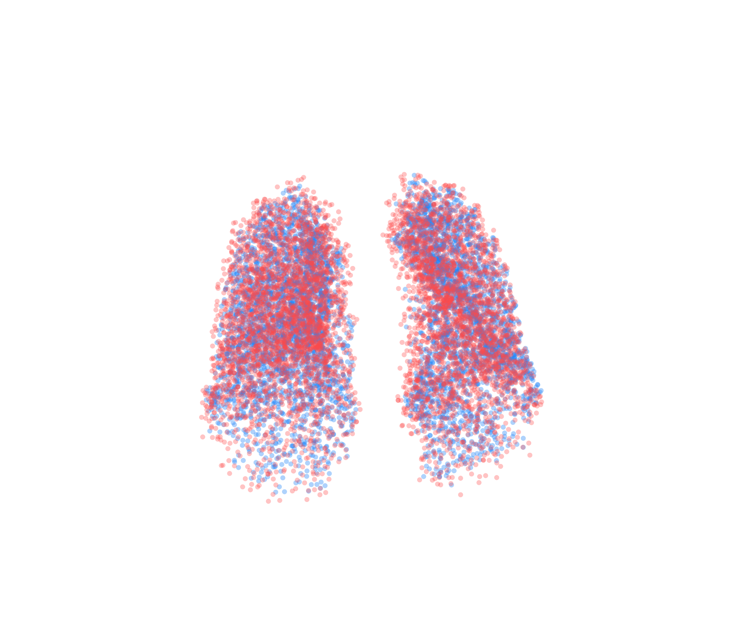 Point Cloud - Front View
