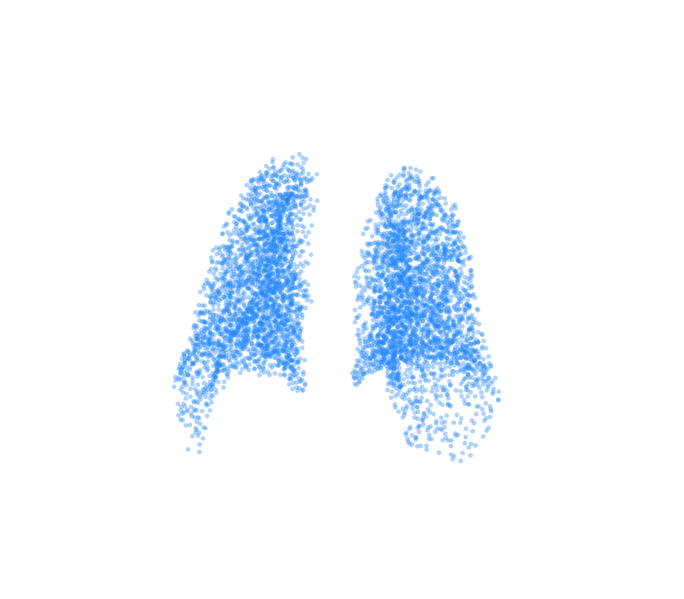 Point Cloud (Inspiration) - Back View