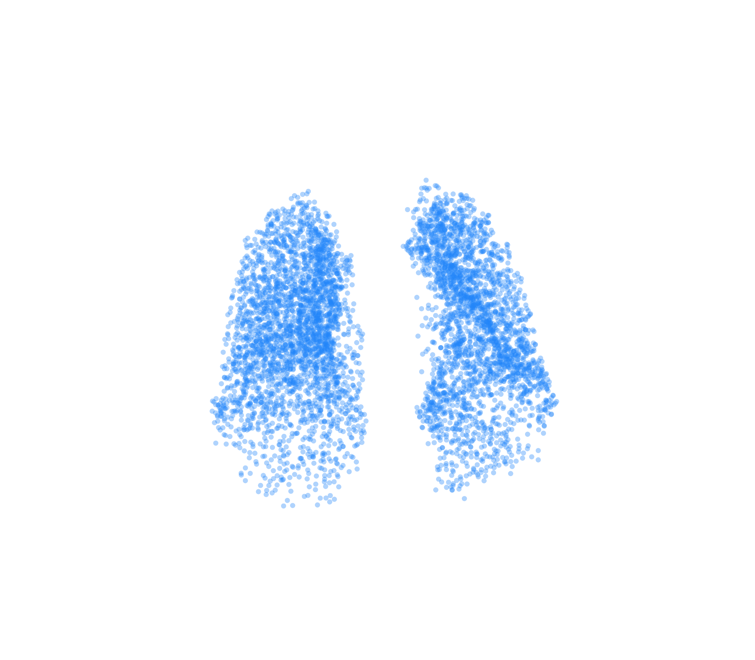Point Cloud (Inspiration) - Front View
