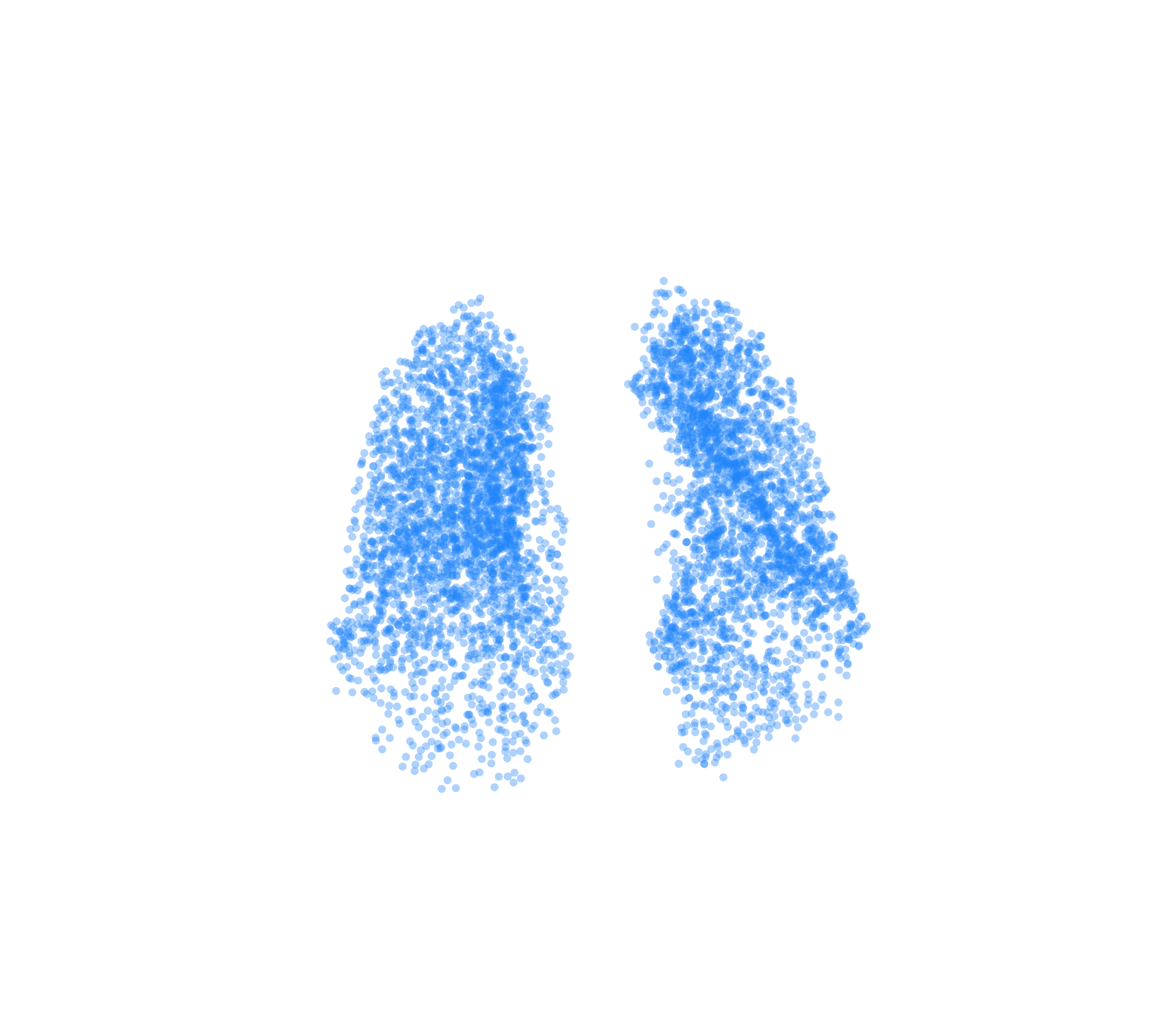 Point Cloud (Inspiration) - Front View