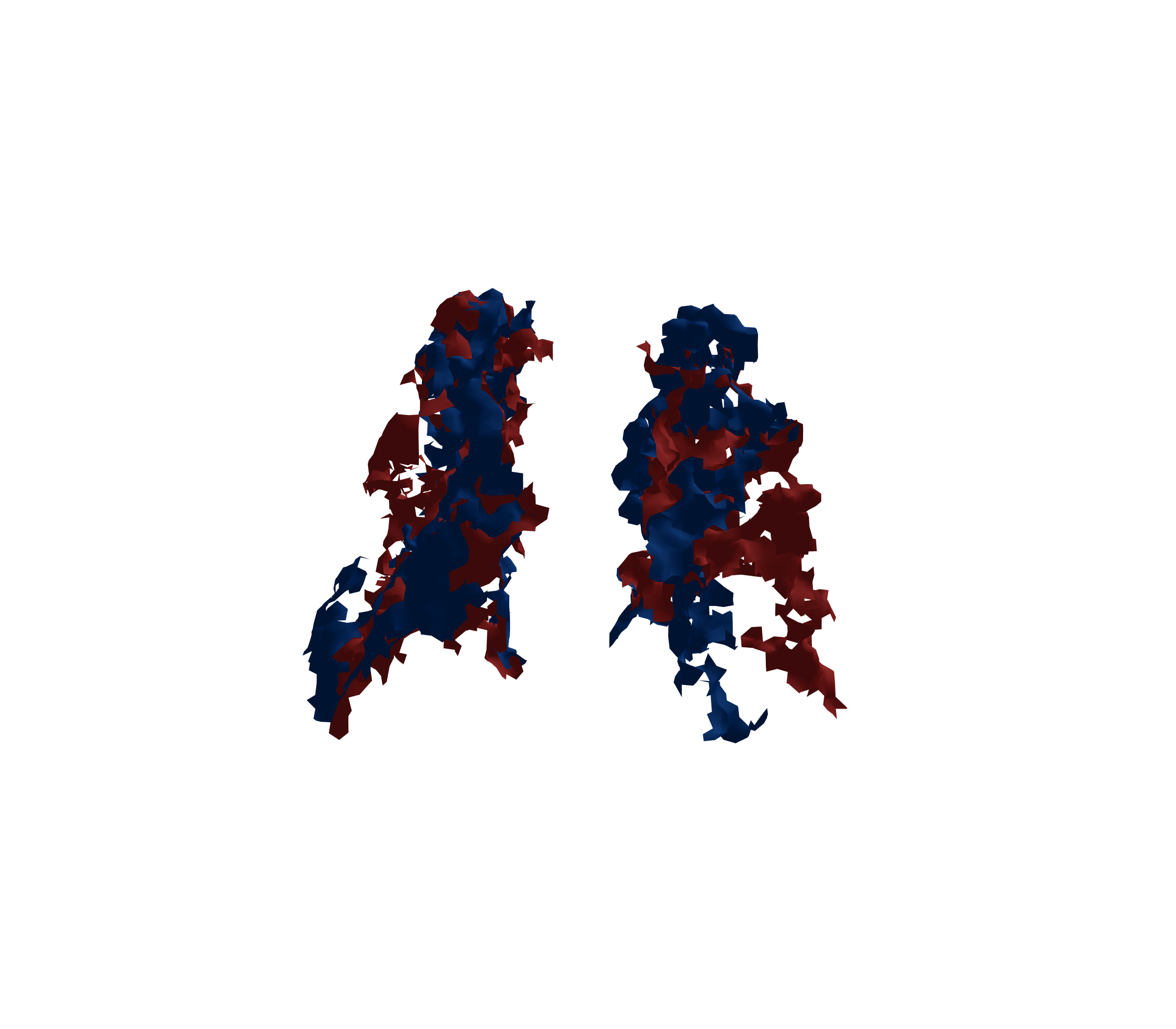 Surface Mesh - Back View