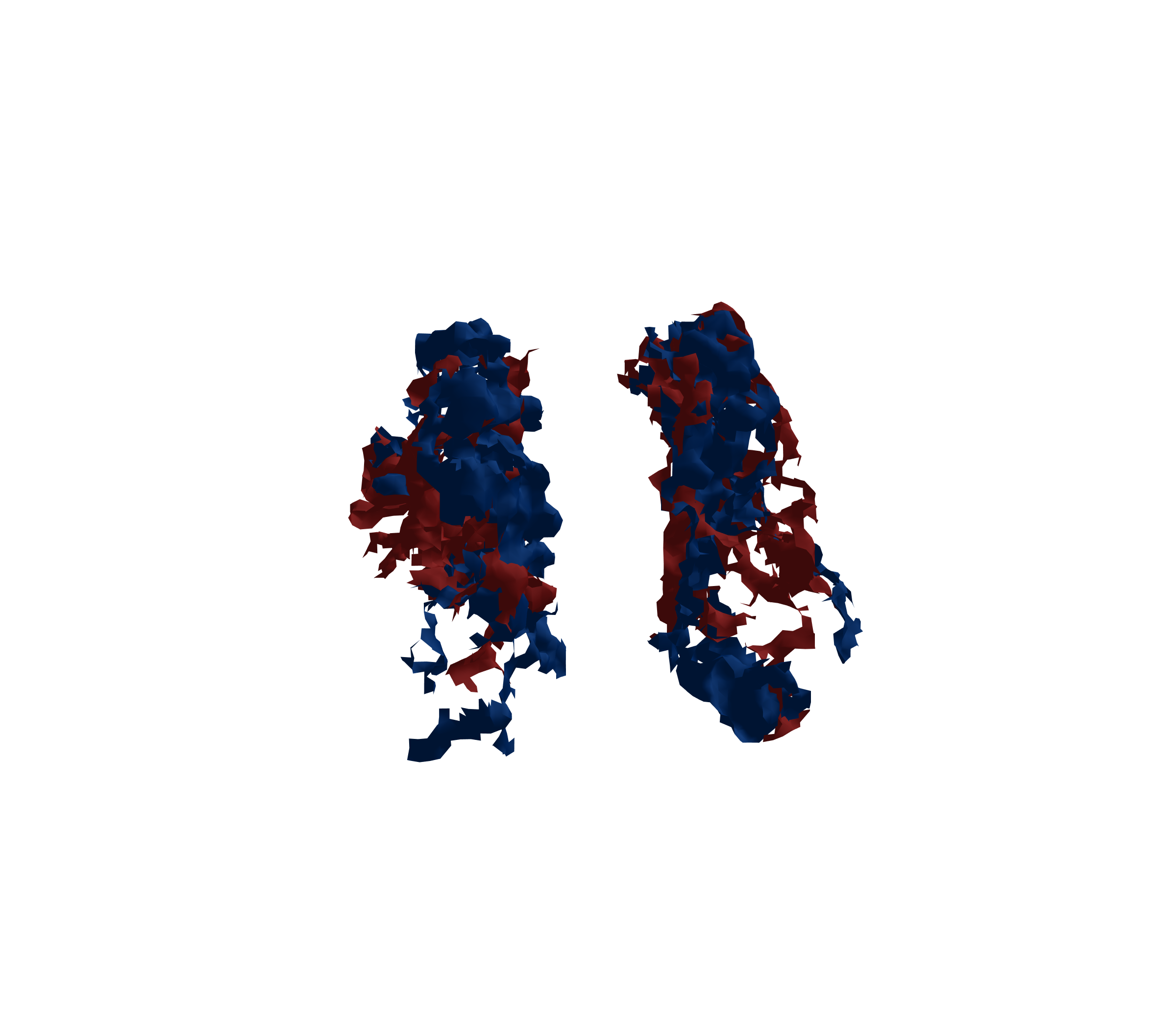 Surface Mesh - Front View