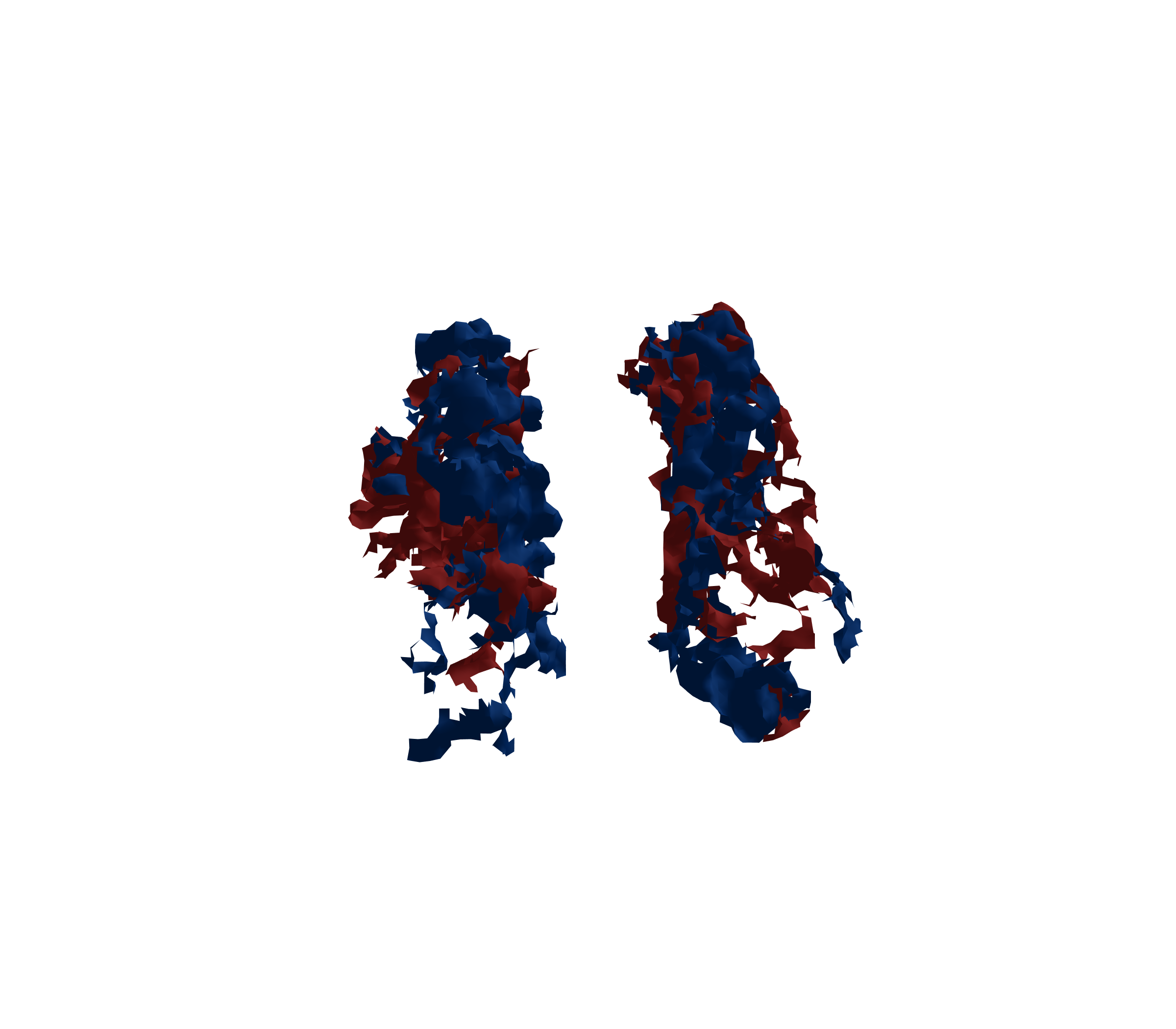 Surface Mesh - Front View