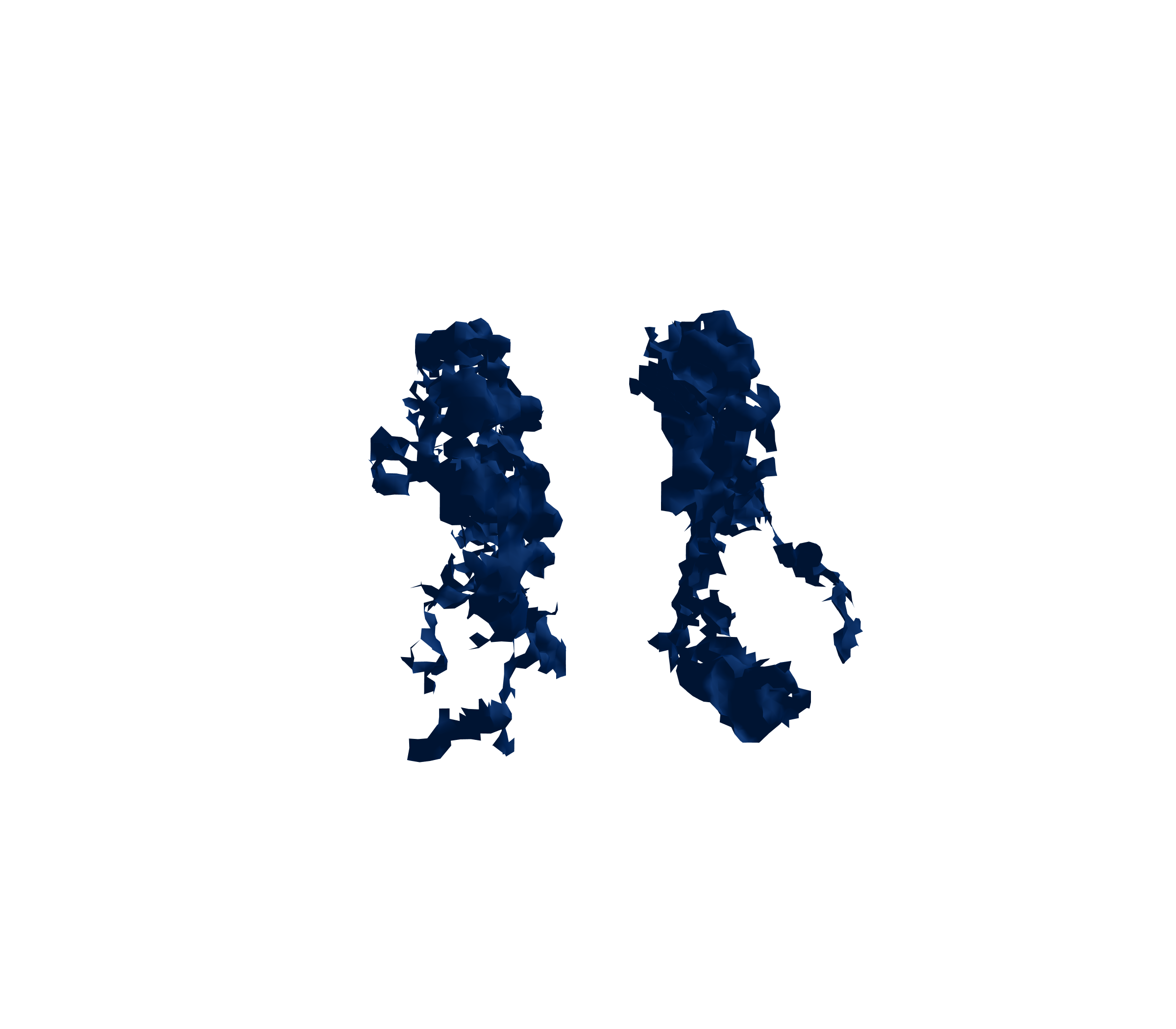 Surface Mesh (Inspiration) - Front View