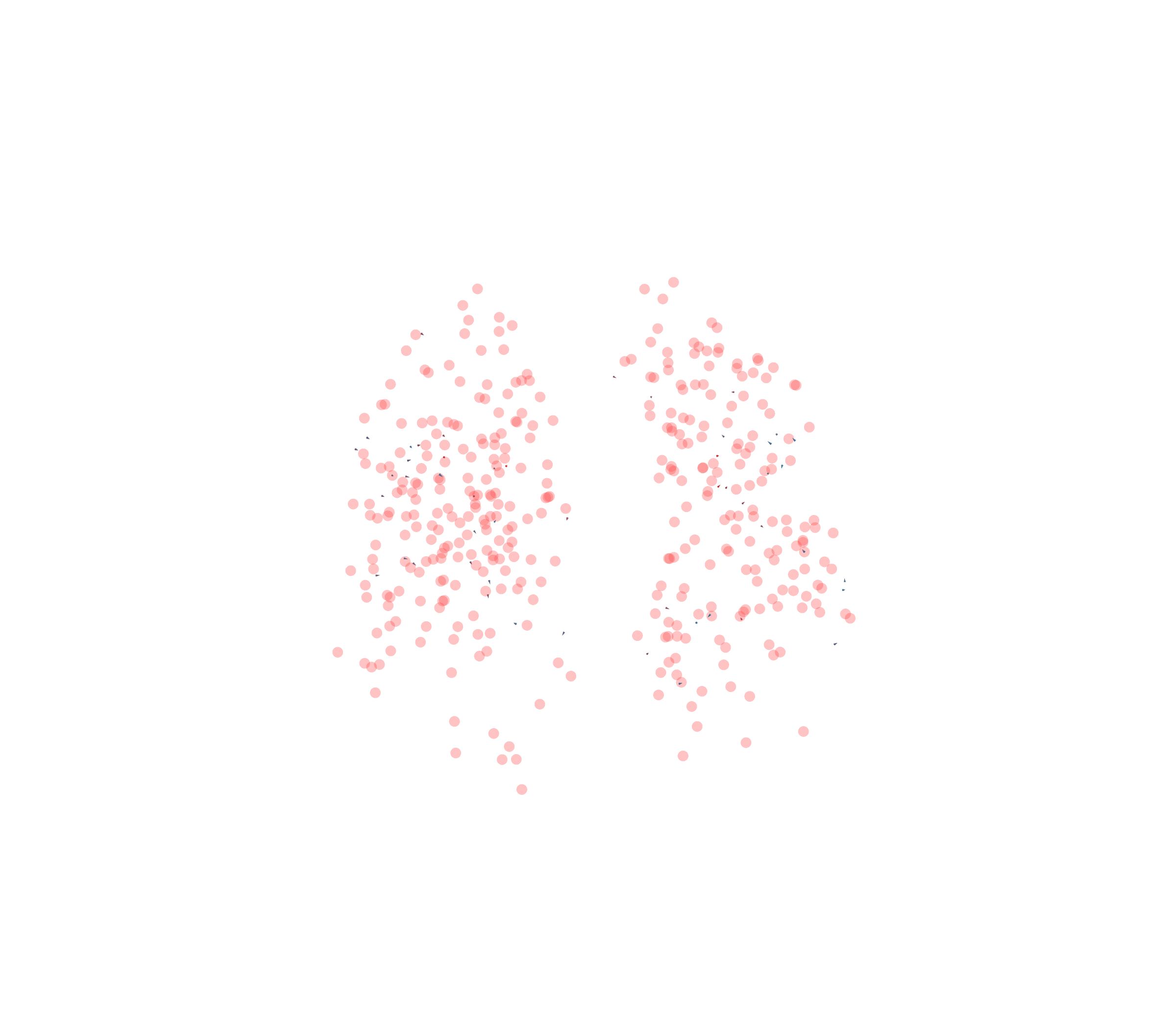 Displacement Vectors - Front View