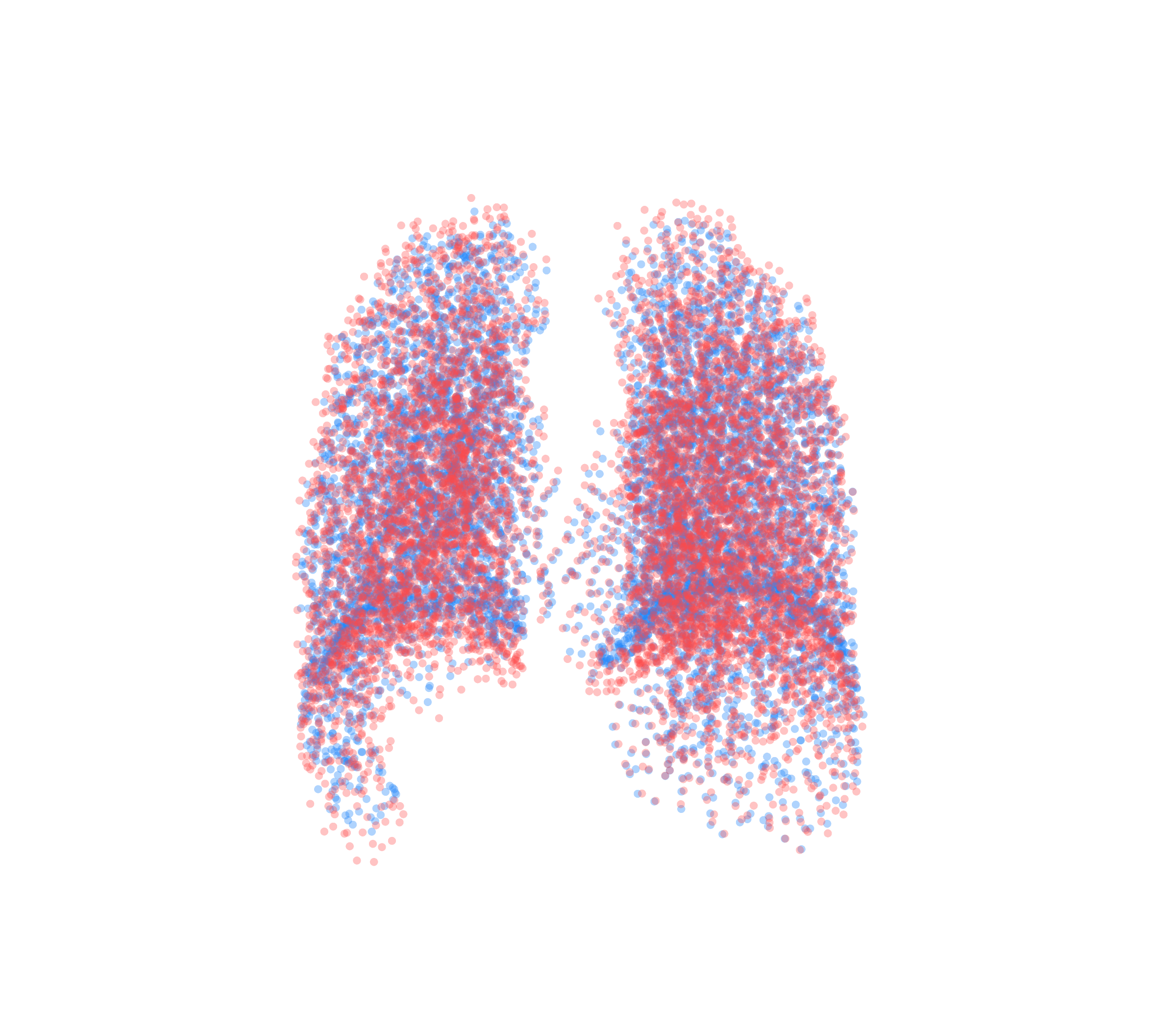 Point Cloud - Back View