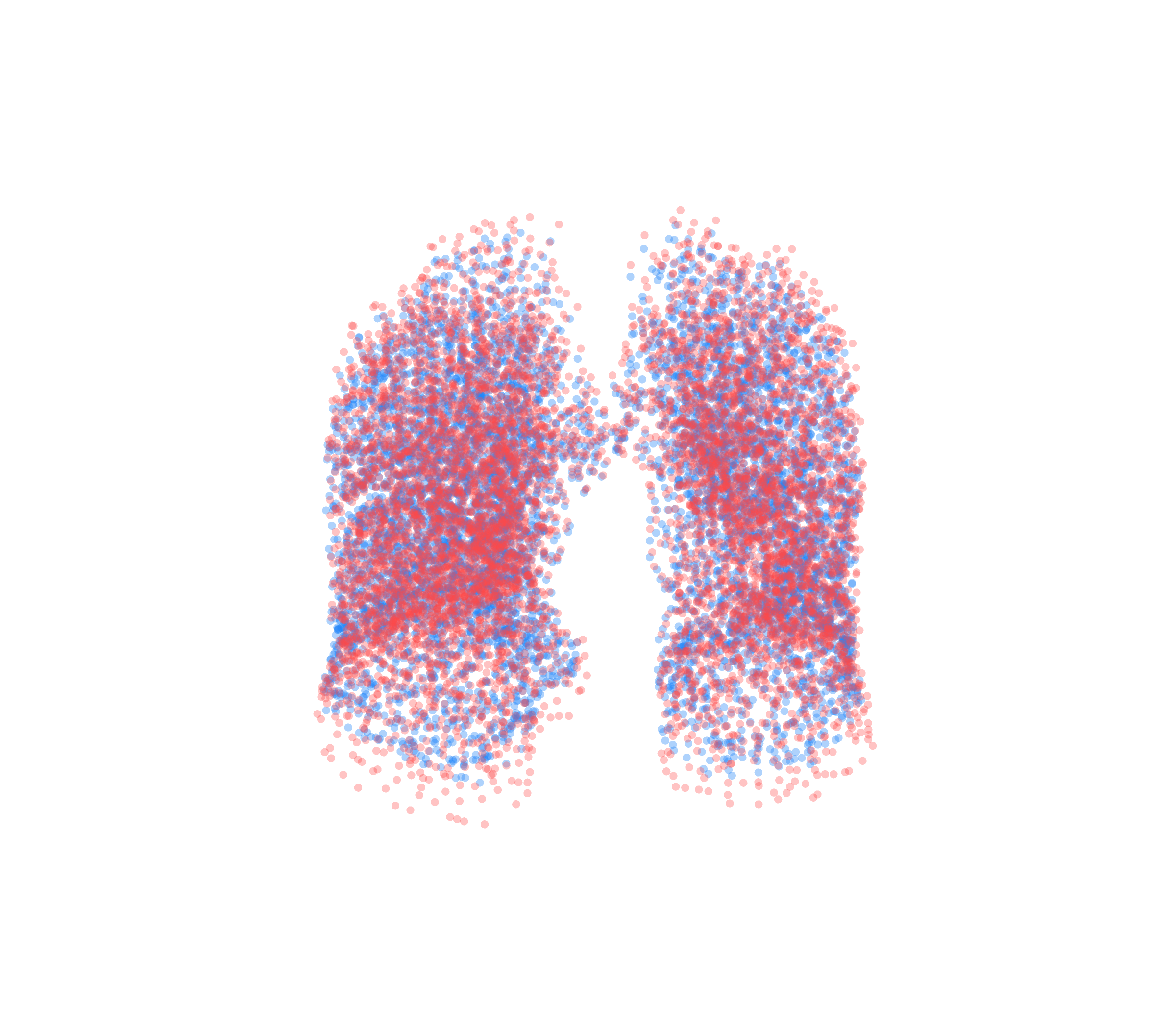 Point Cloud - Front View
