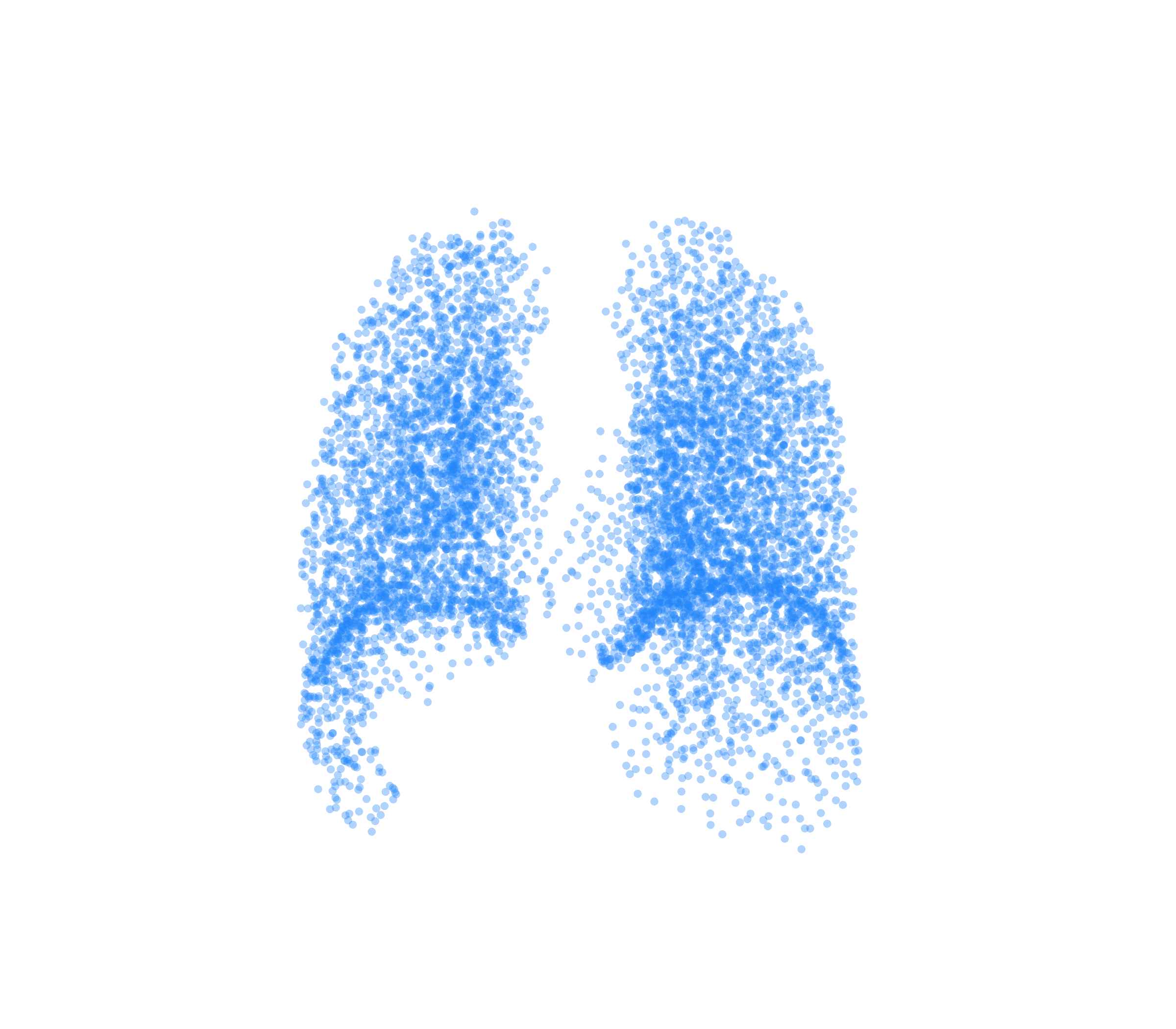 Point Cloud (Inspiration) - Back View