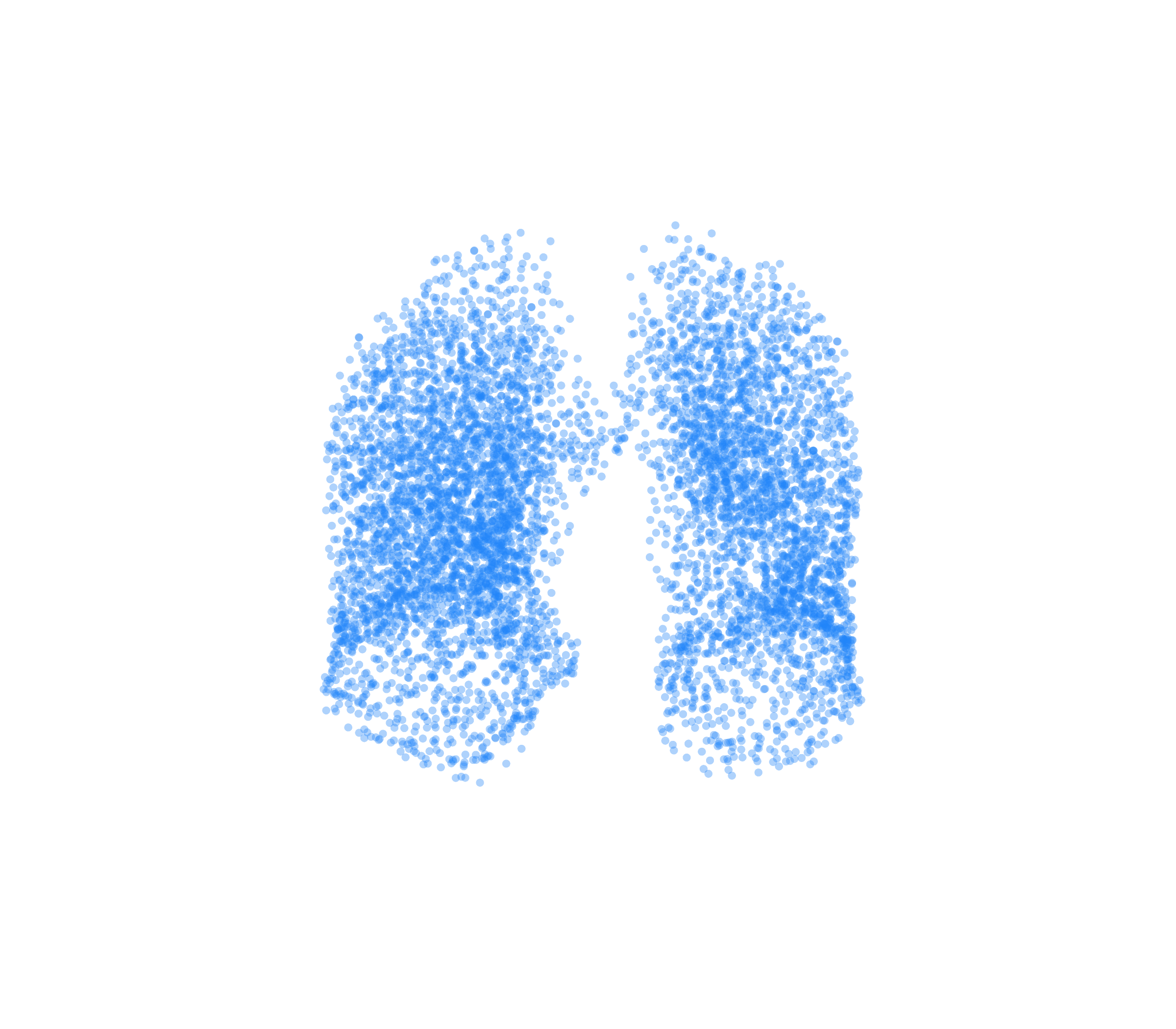 Point Cloud (Inspiration) - Front View