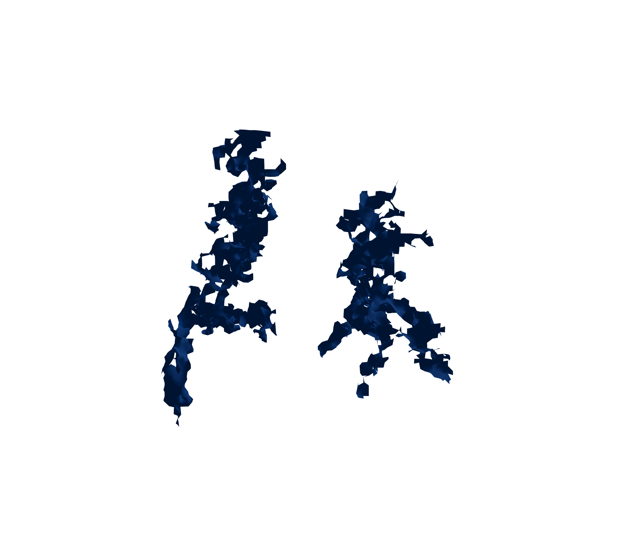 Surface Mesh (Inspiration) - Back View