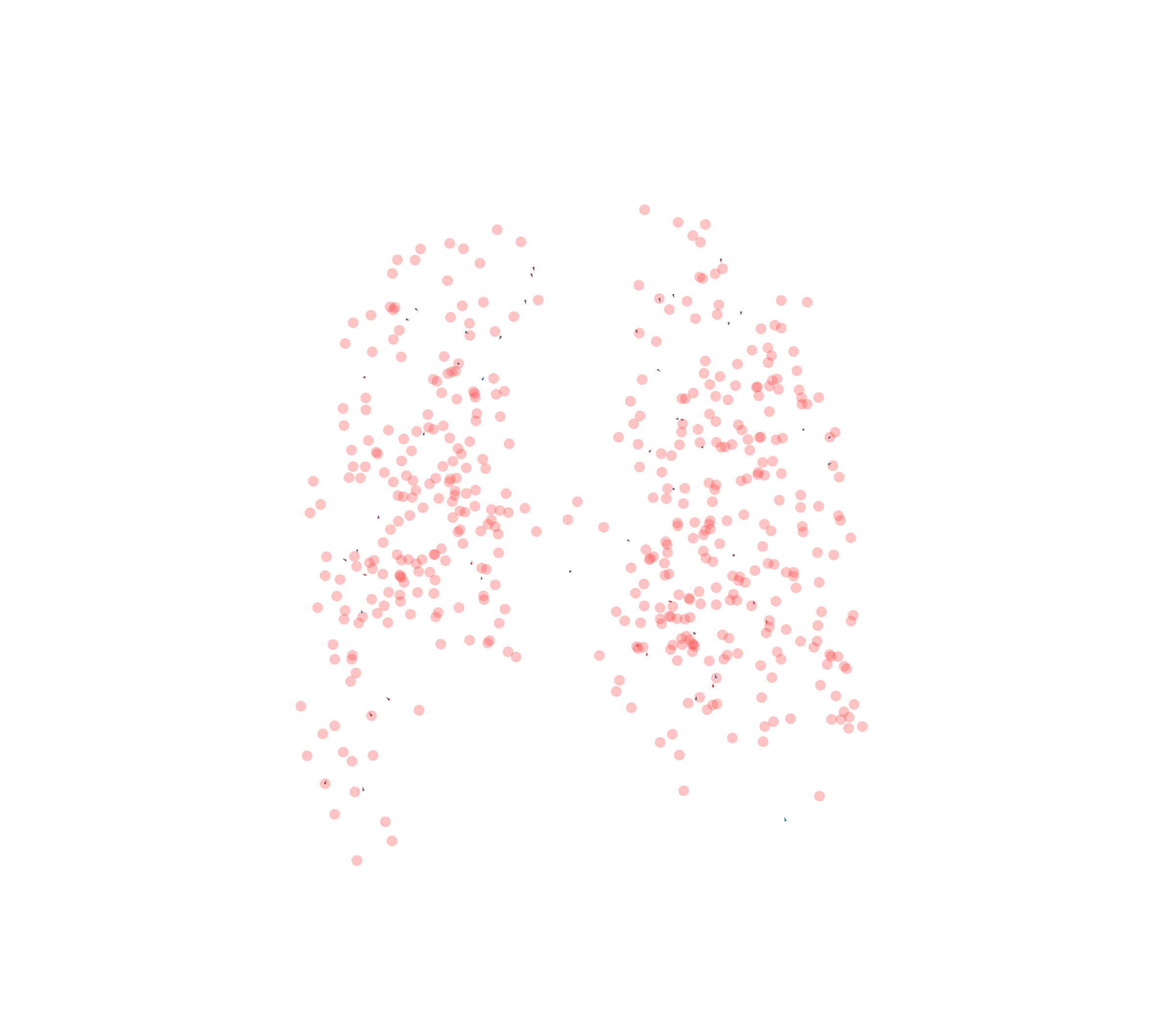 Displacement Vectors - Back View