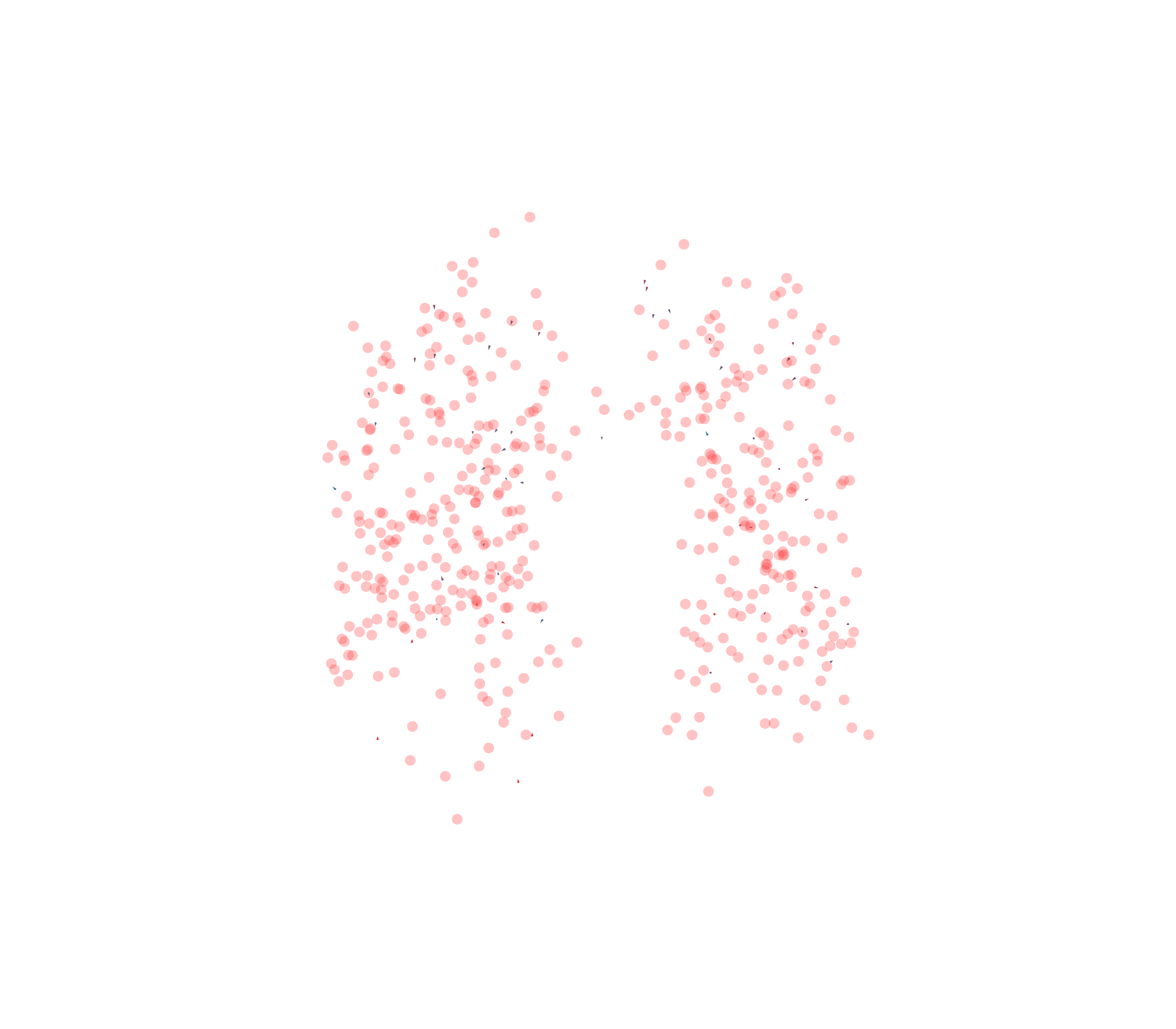 Displacement Vectors - Front View