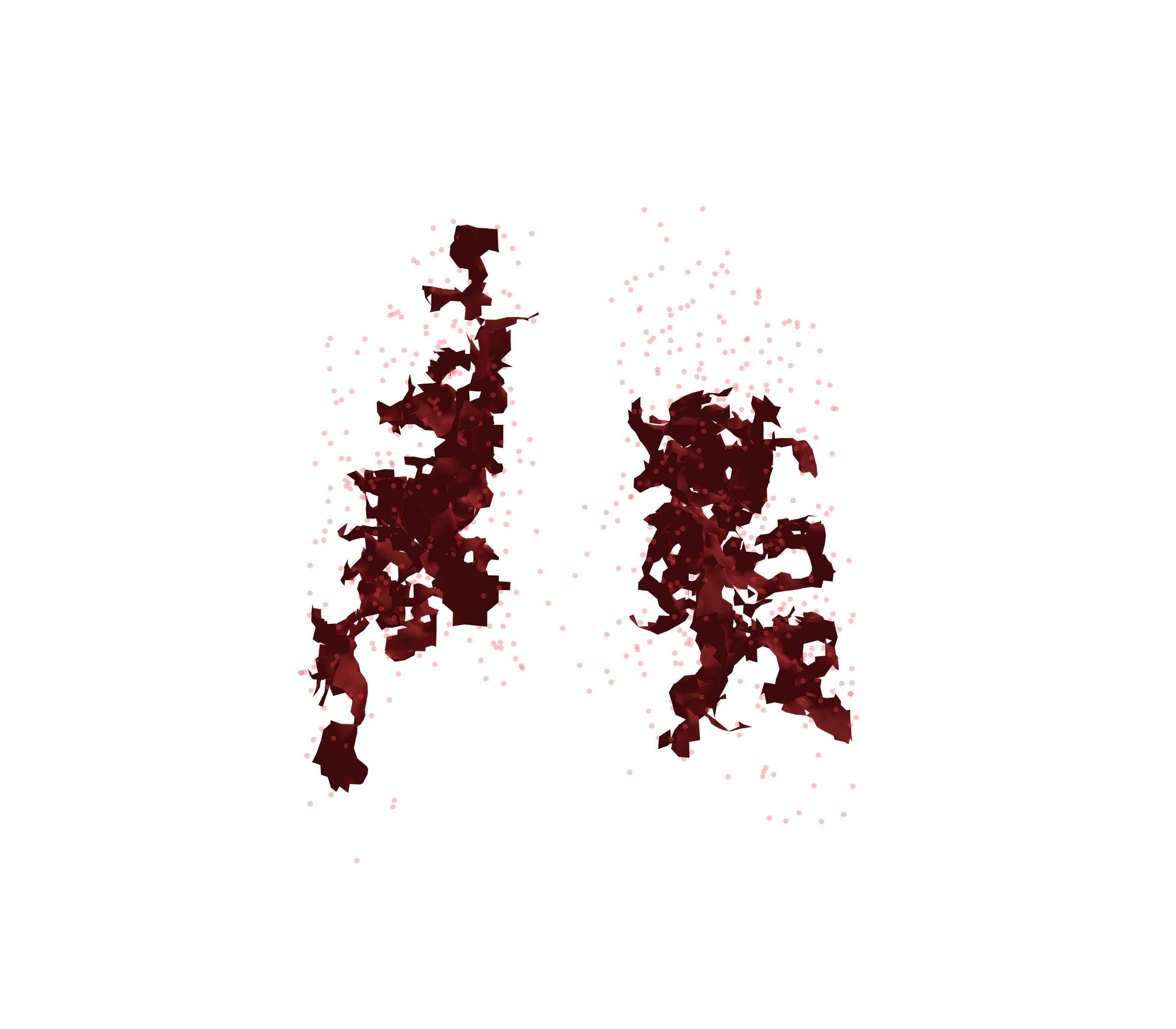 Combined Visualization (Expiration) - Back View