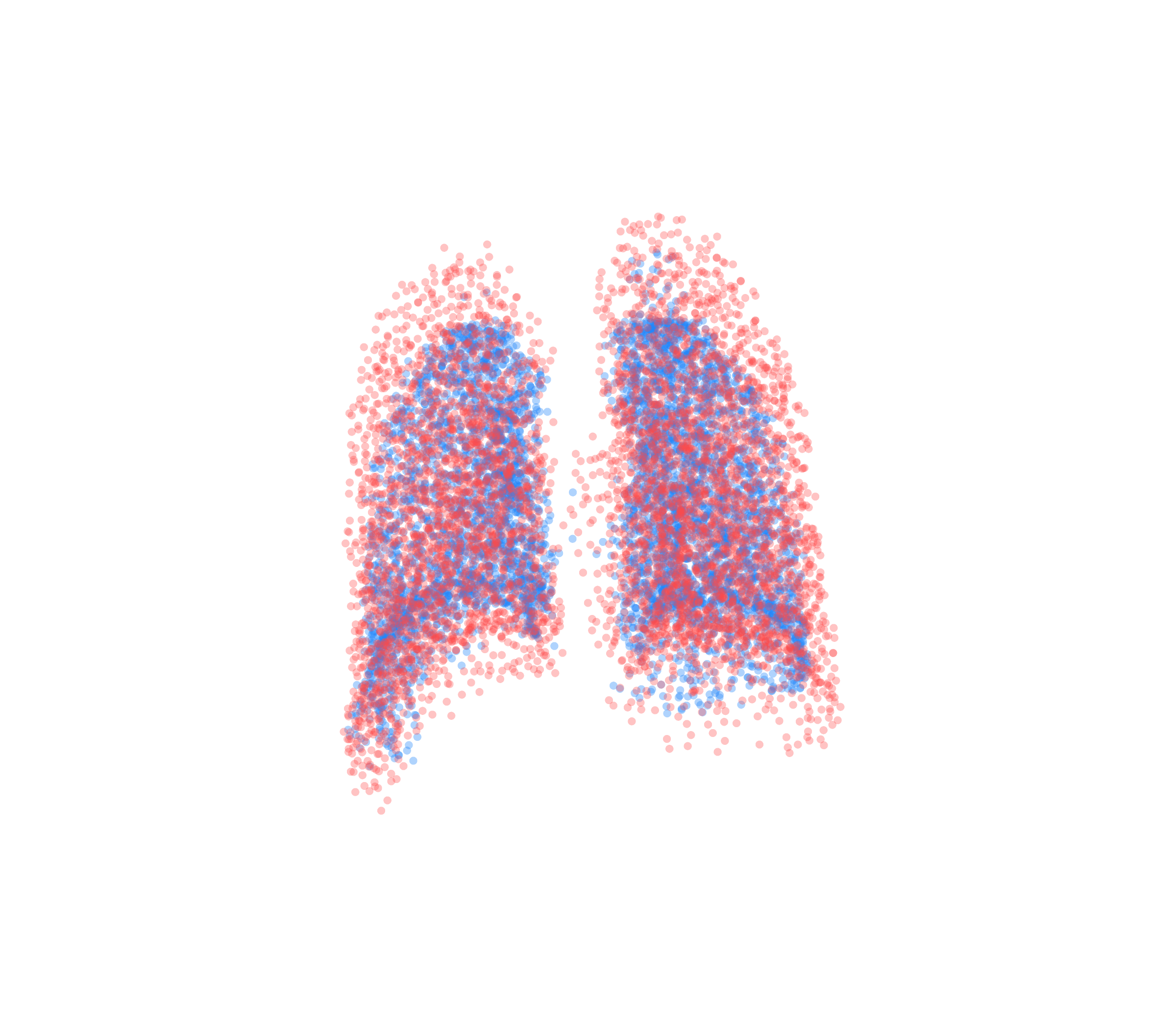 Point Cloud - Back View