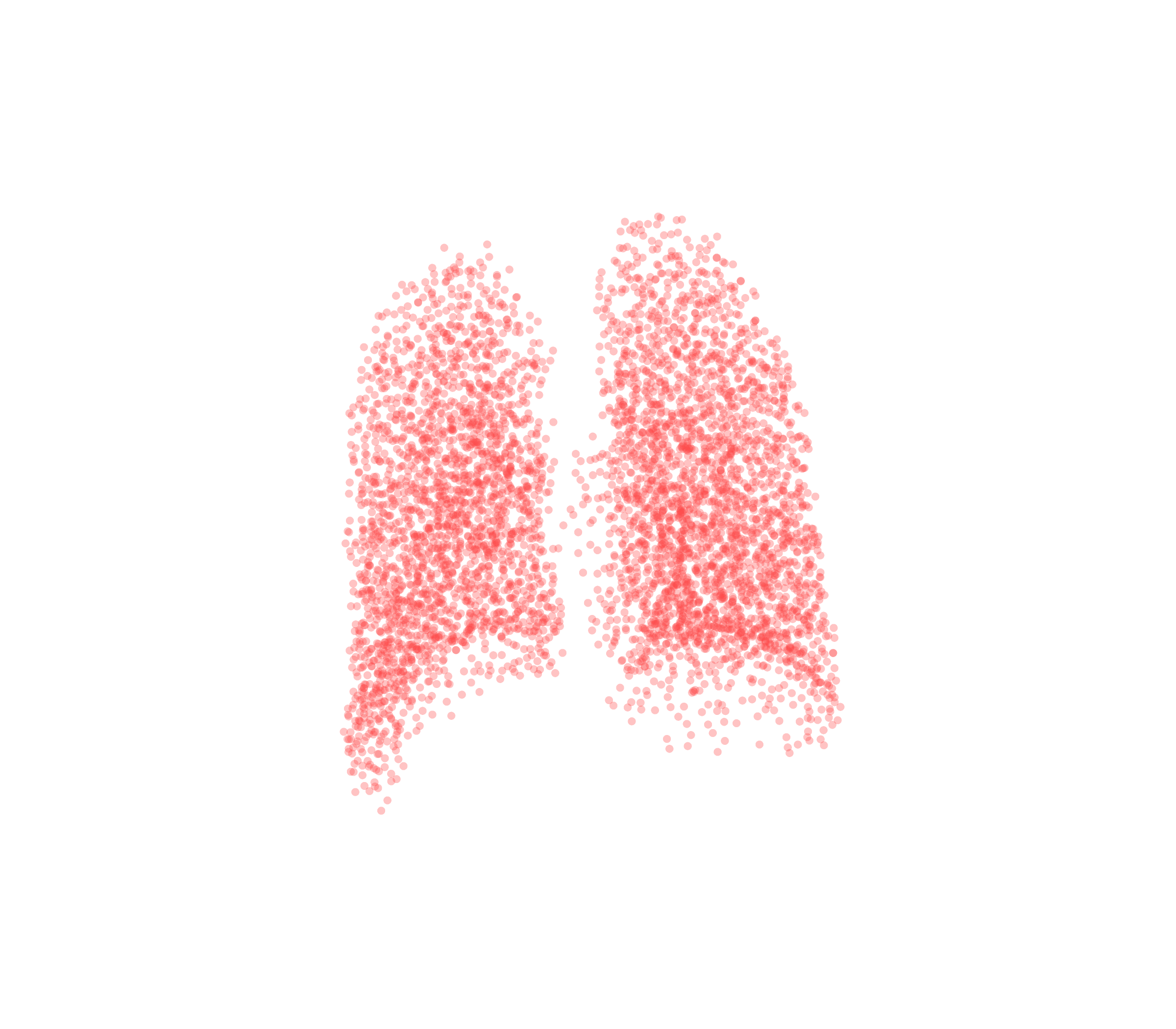 Point Cloud (Expiration) - Back View